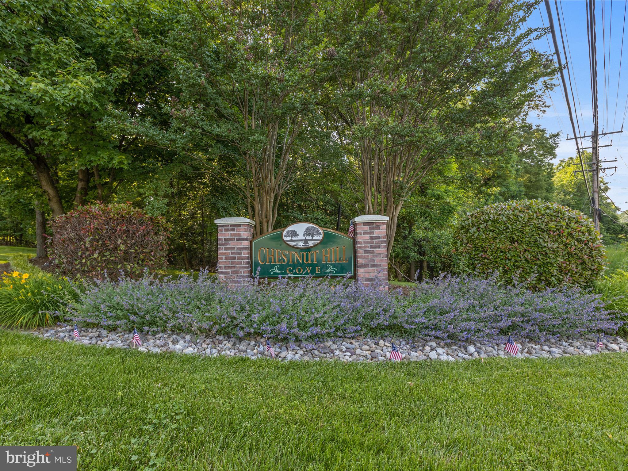 CHESTNUT HILL COVE - Residential