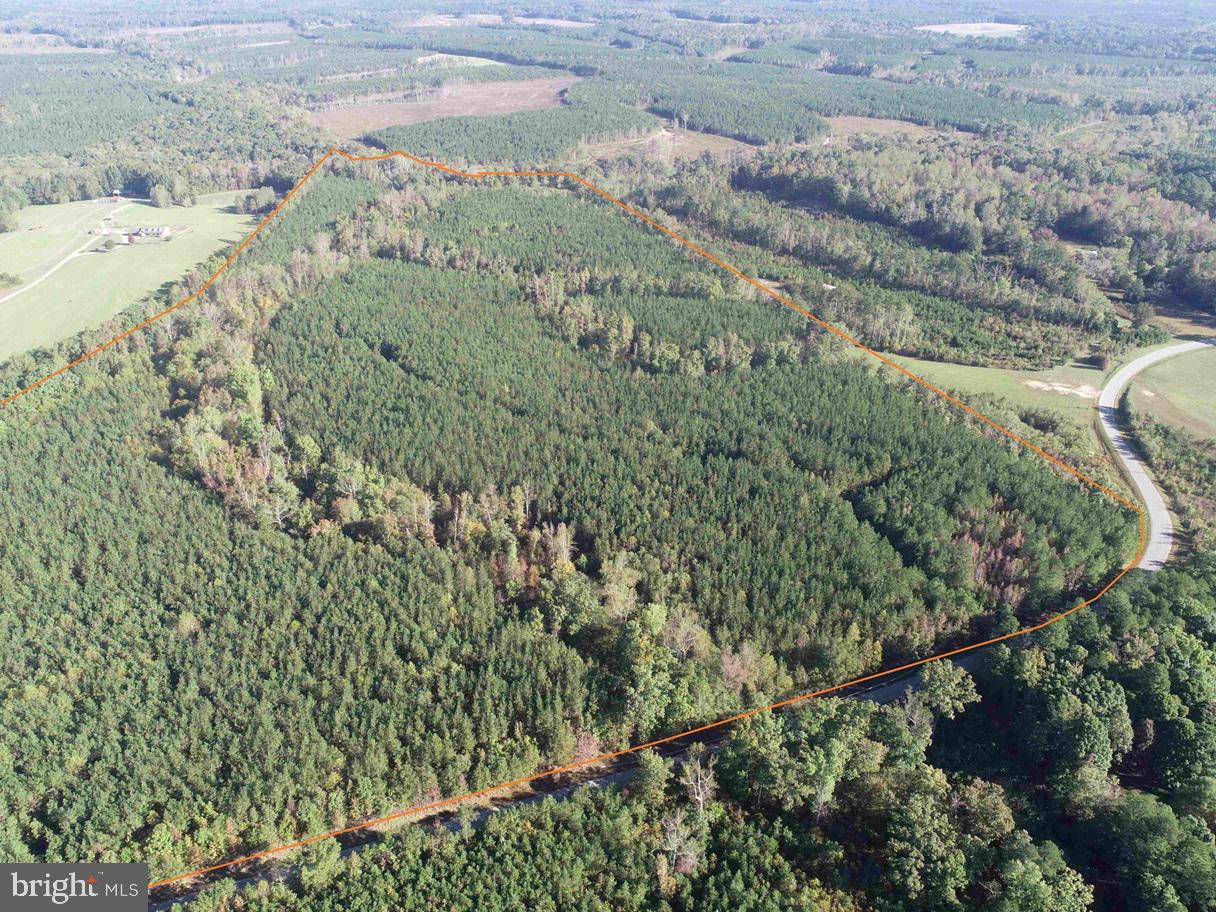 BOZE ROAD (TRACT: WHITE OAK BUTTERWOOD-1)