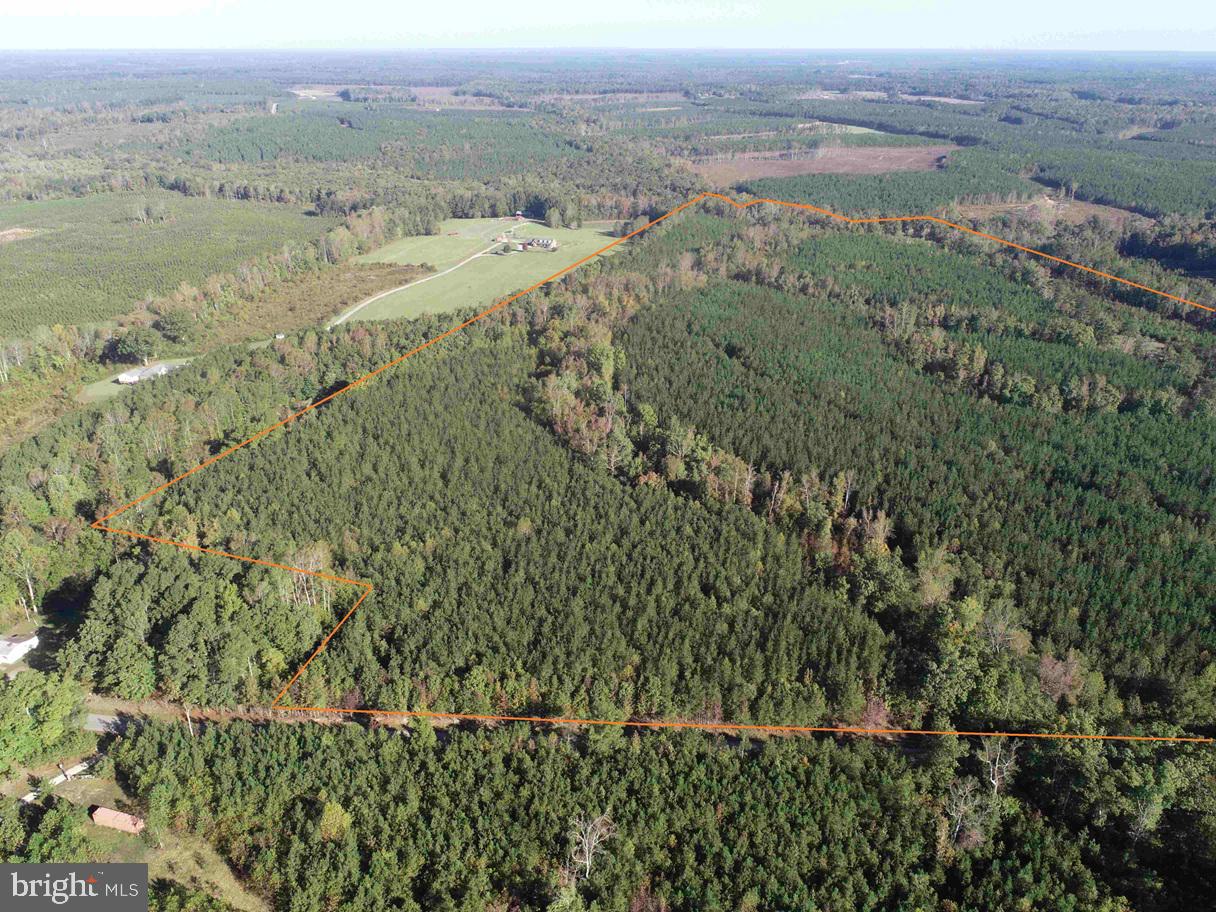 BOZE ROAD (TRACT: WHITE OAK BUTTERWOOD-1)