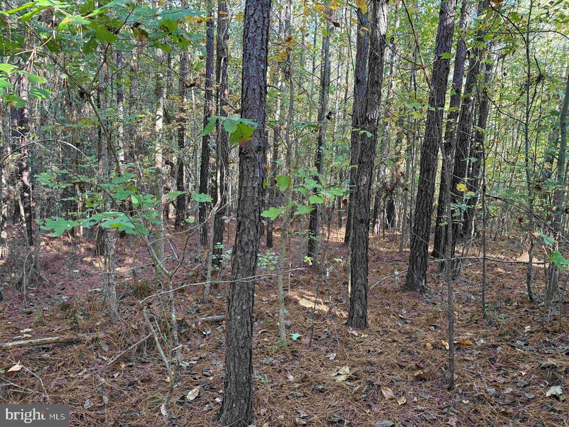 BOZE ROAD (TRACT: WHITE OAK BUTTERWOOD-1)