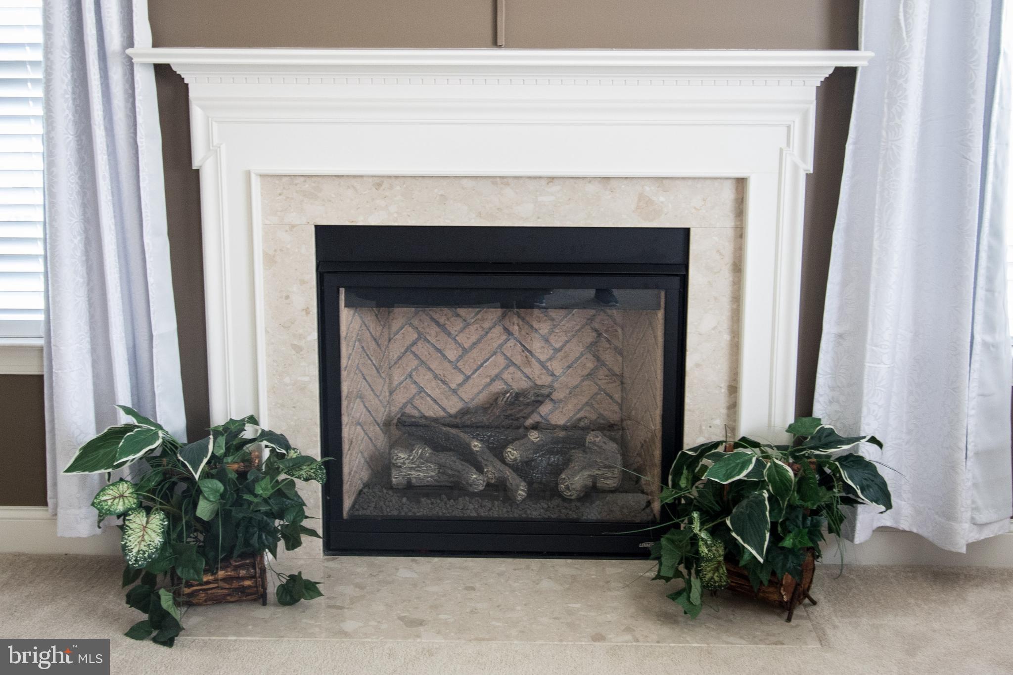 ESTATES AT JOY CHAPEL - Residential