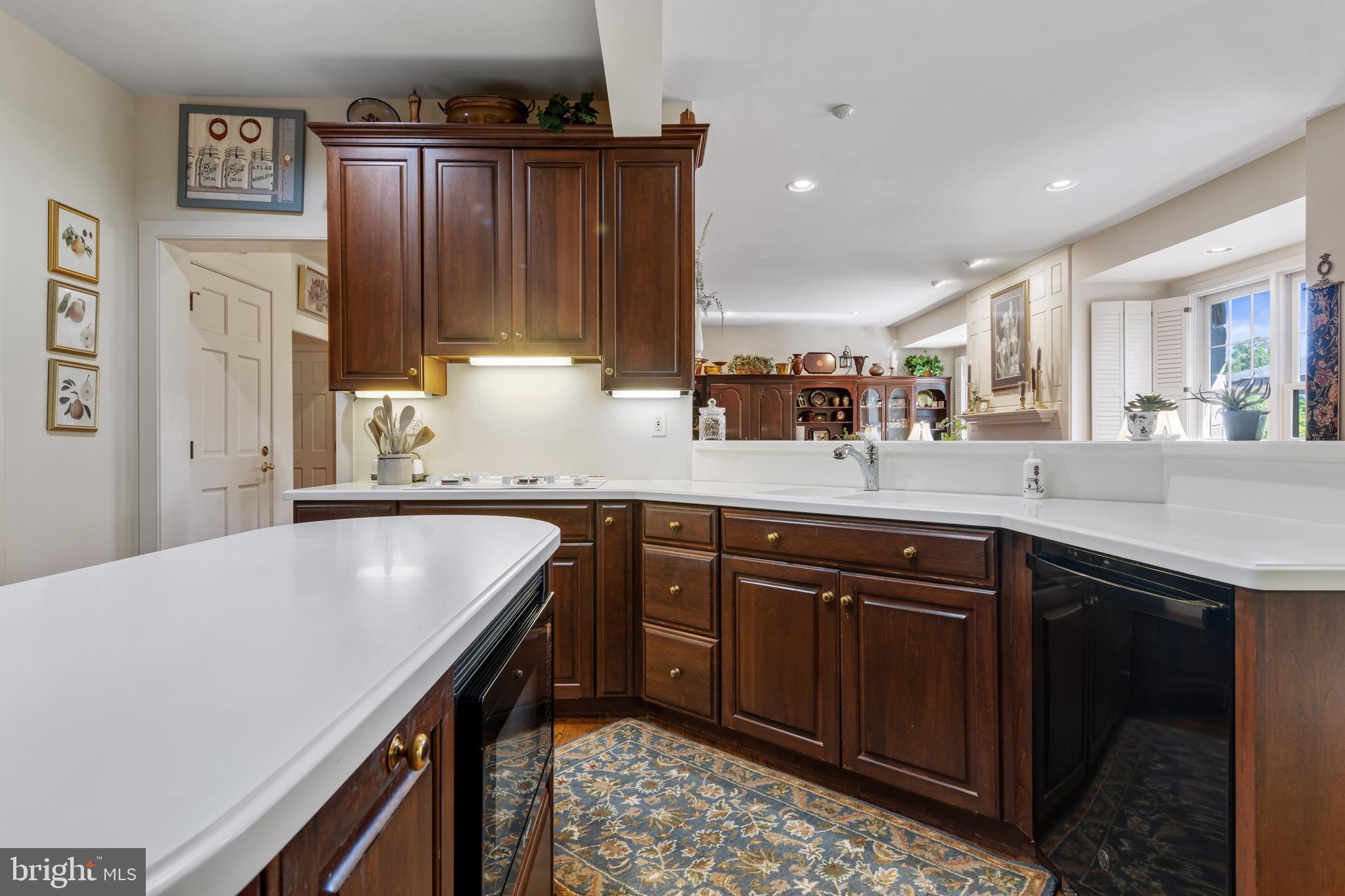 BLUE ROCK MEADOWS - Residential