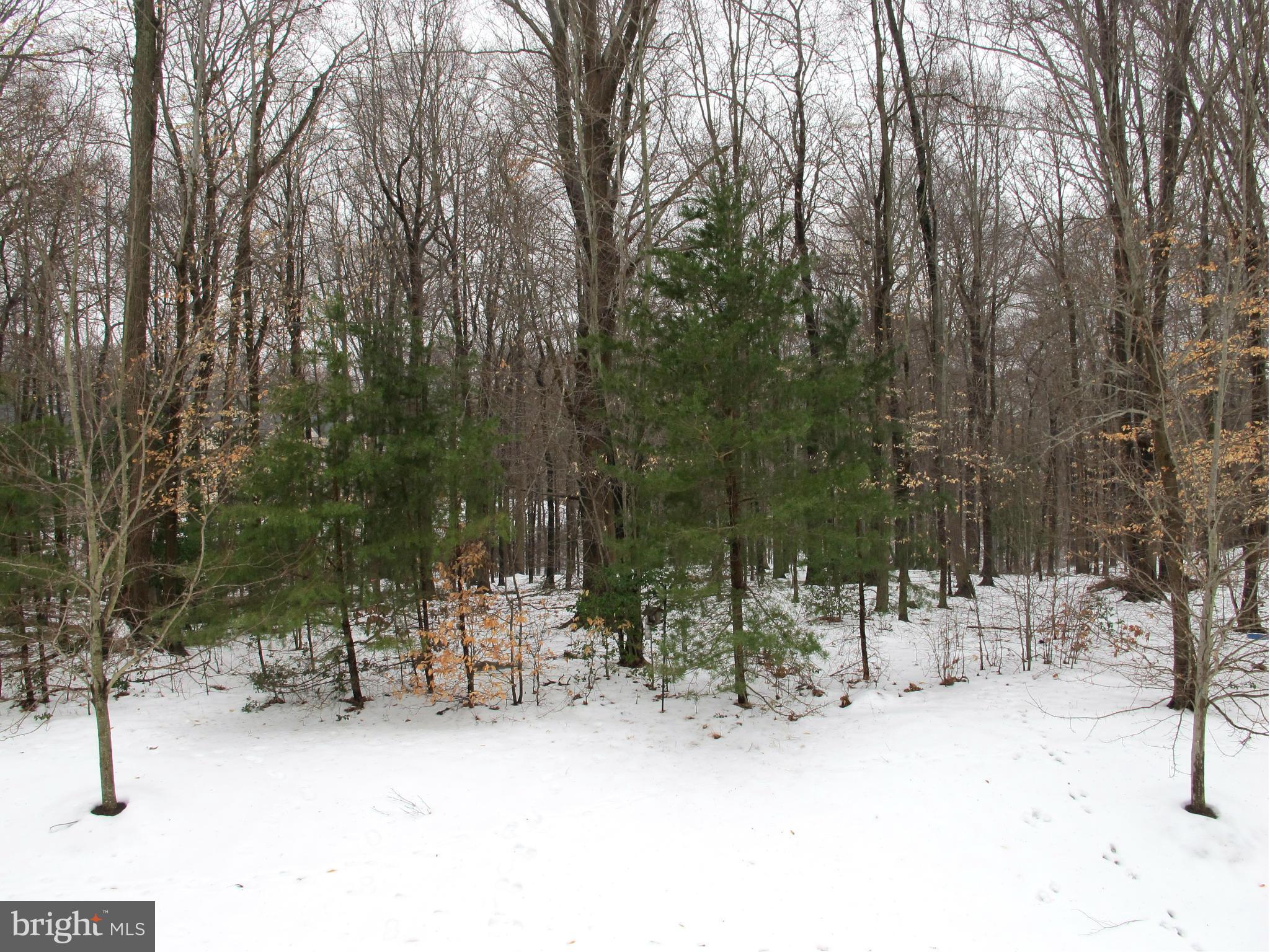 PINEY ORCHARD - Residential