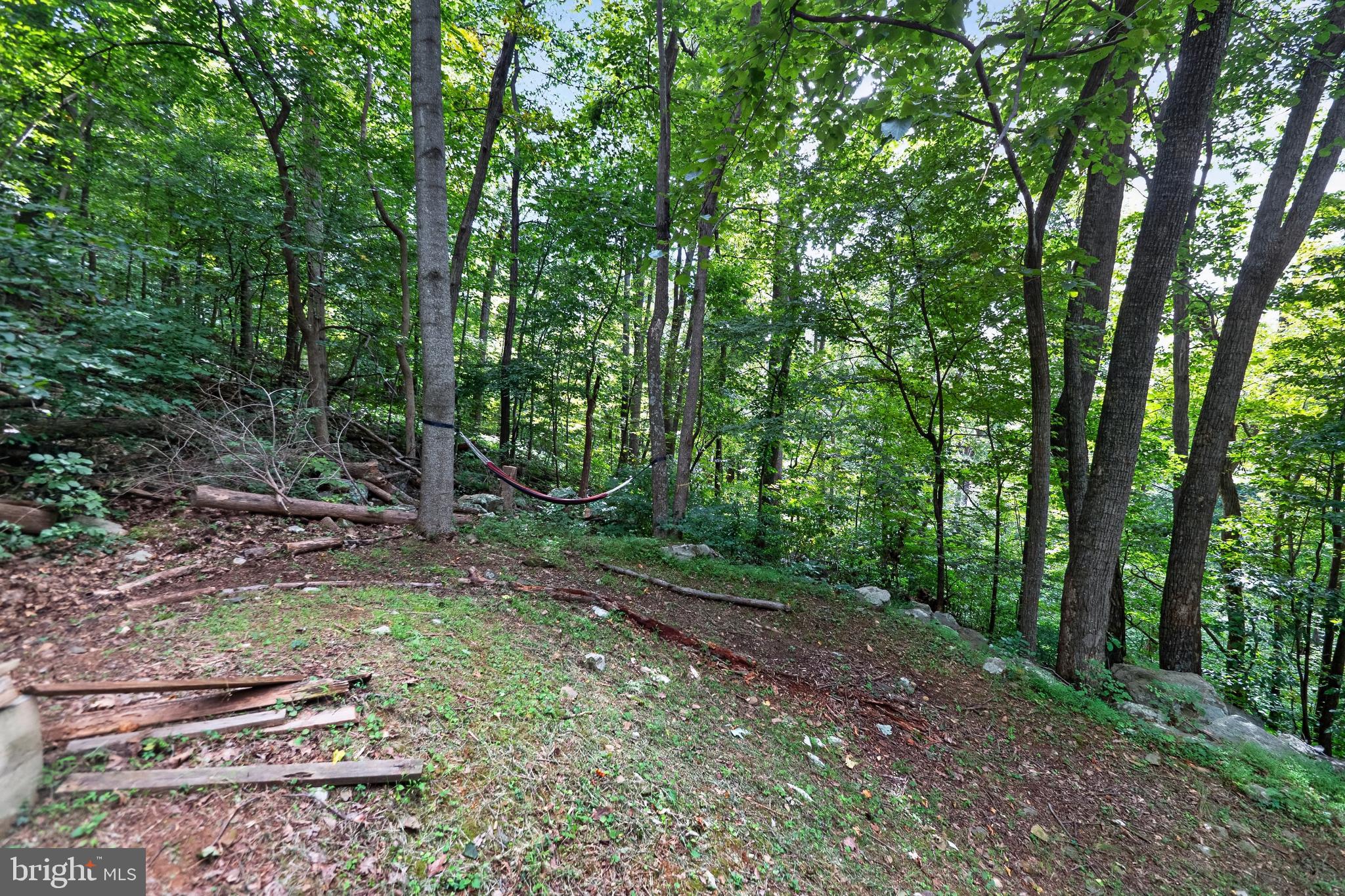 261 ROCKY SPRING LANE
