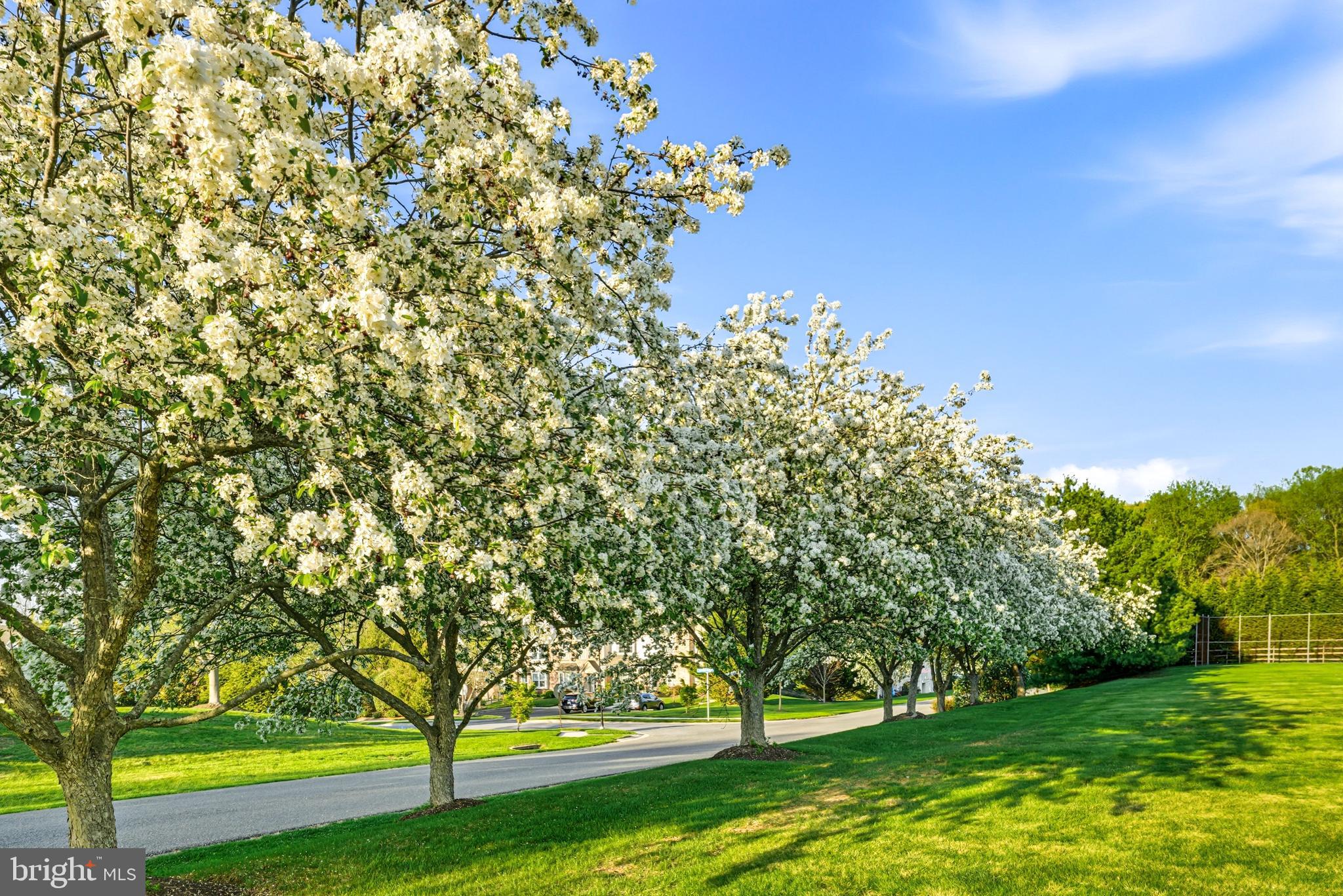 LONGWOOD CROSSING - Residential