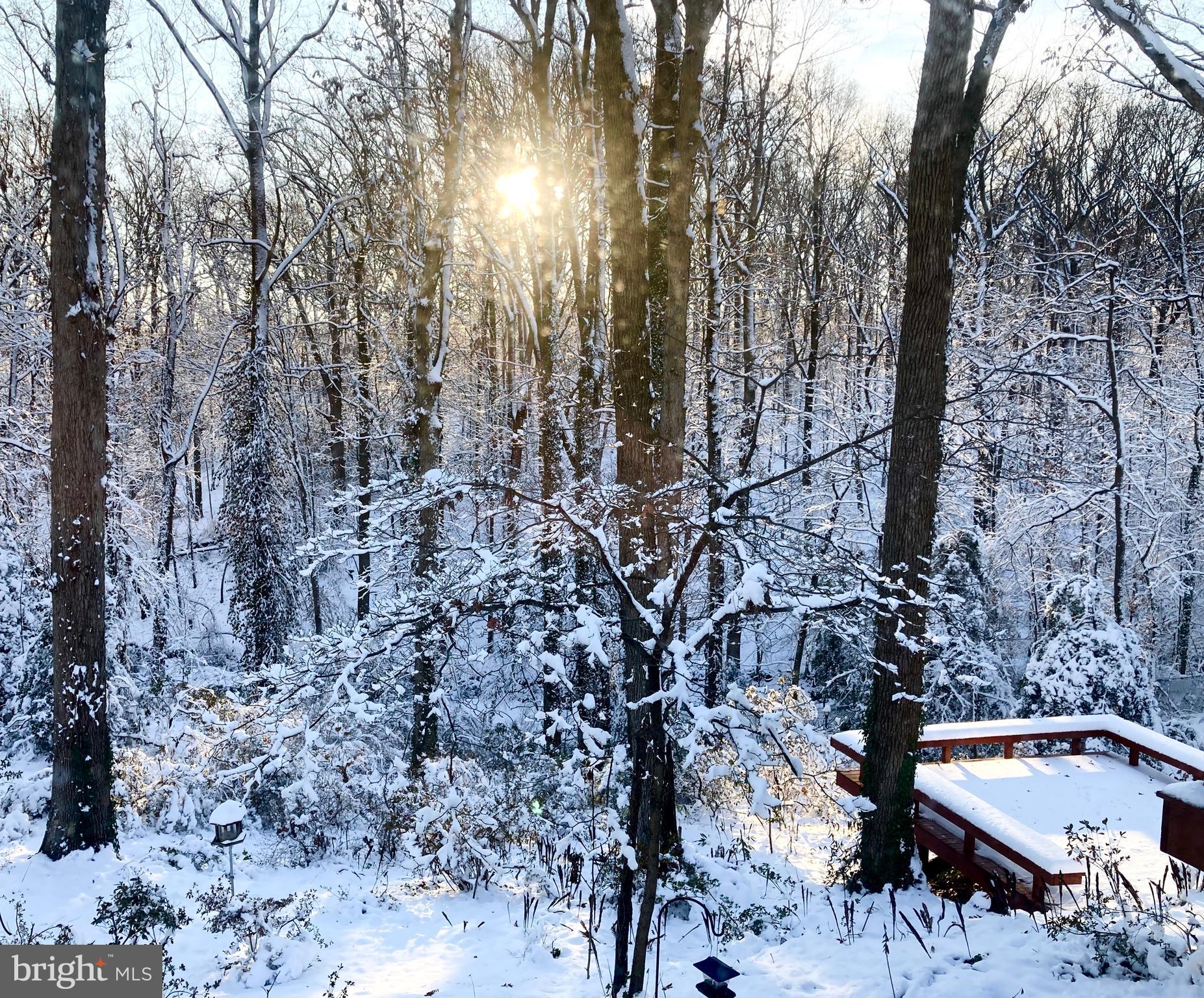 HILLANDALE - Residential