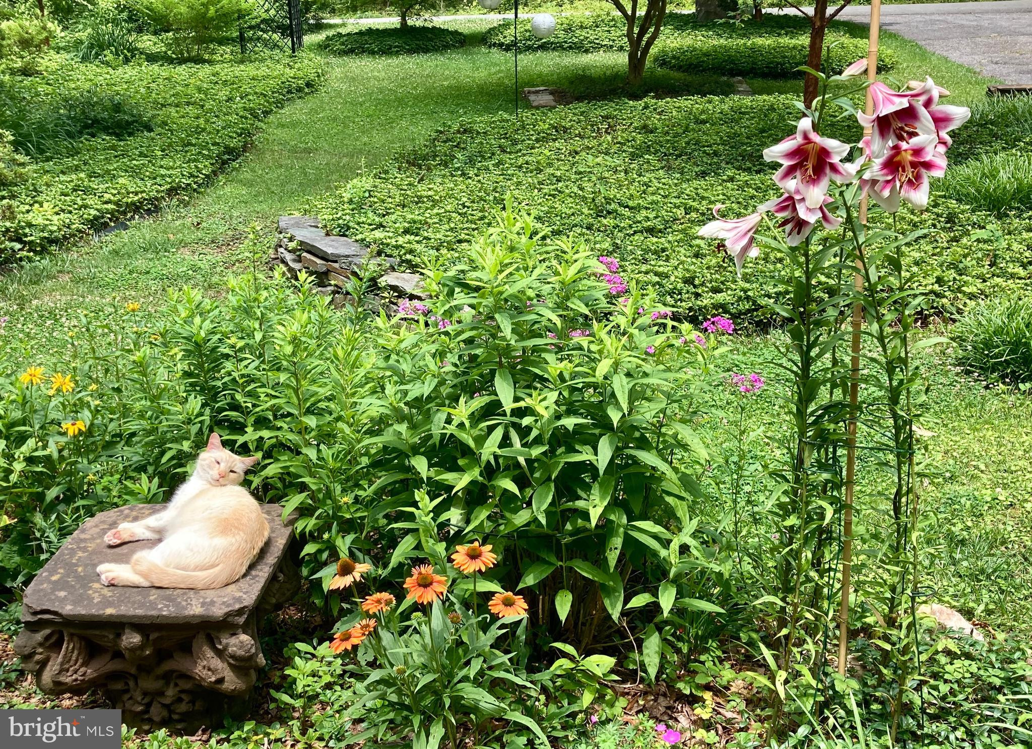 HILLANDALE - Residential