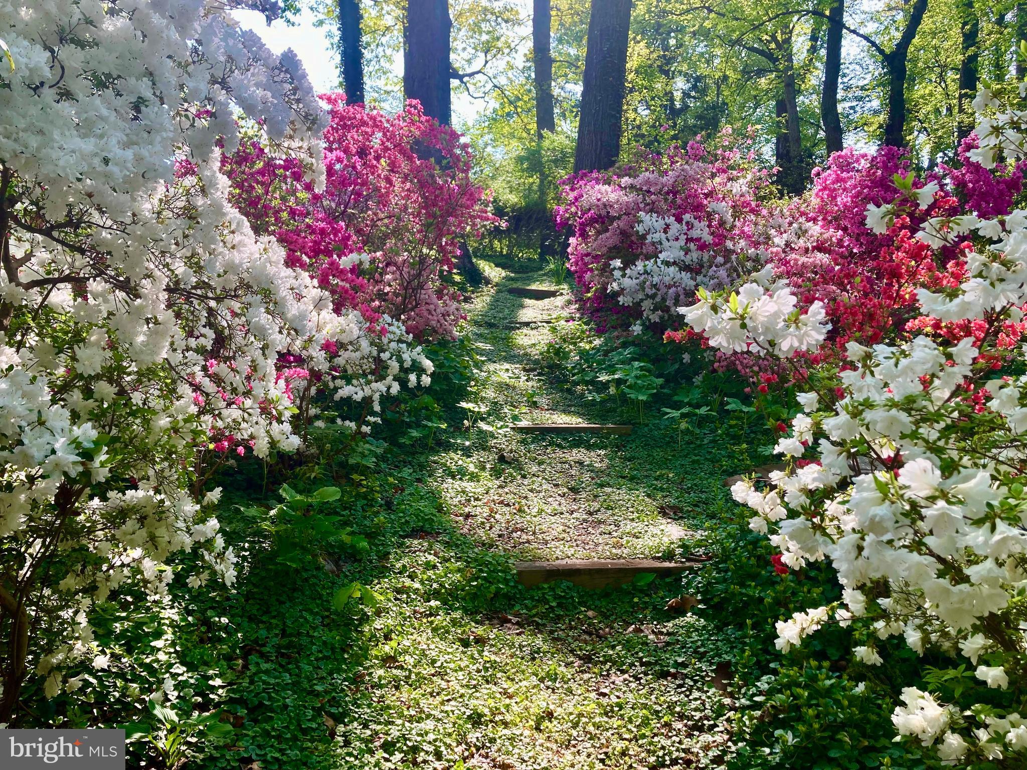 HILLANDALE - Residential