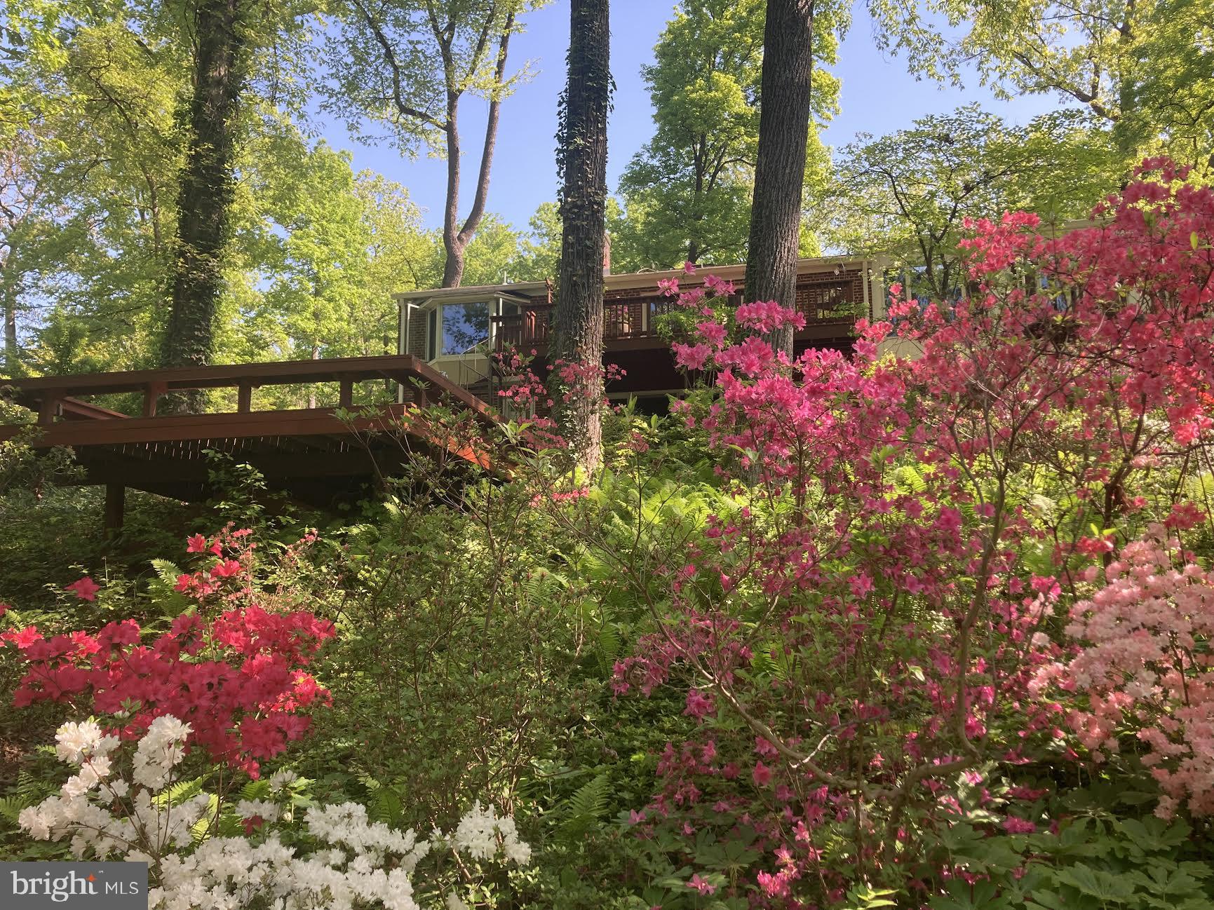 HILLANDALE - Residential