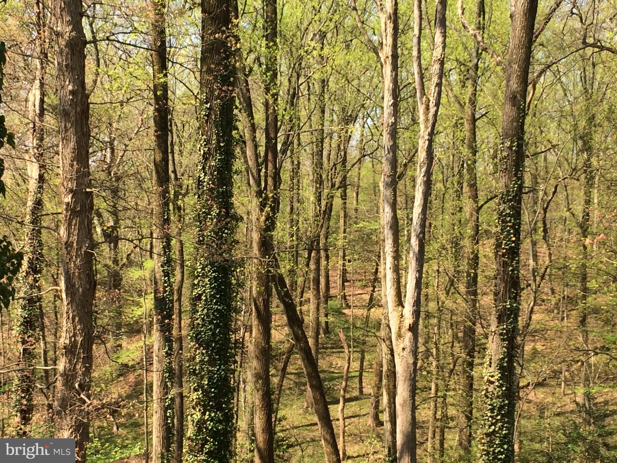 HILLANDALE - Residential