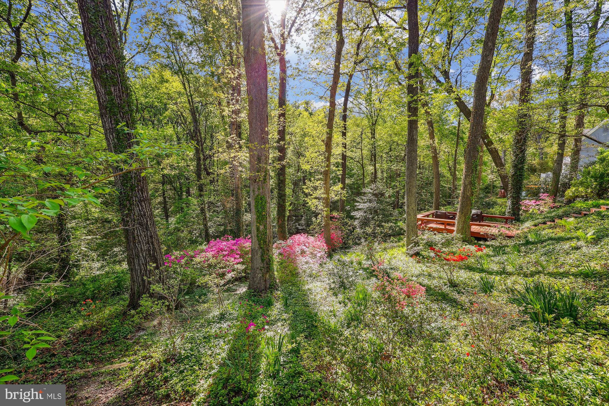 HILLANDALE - Residential