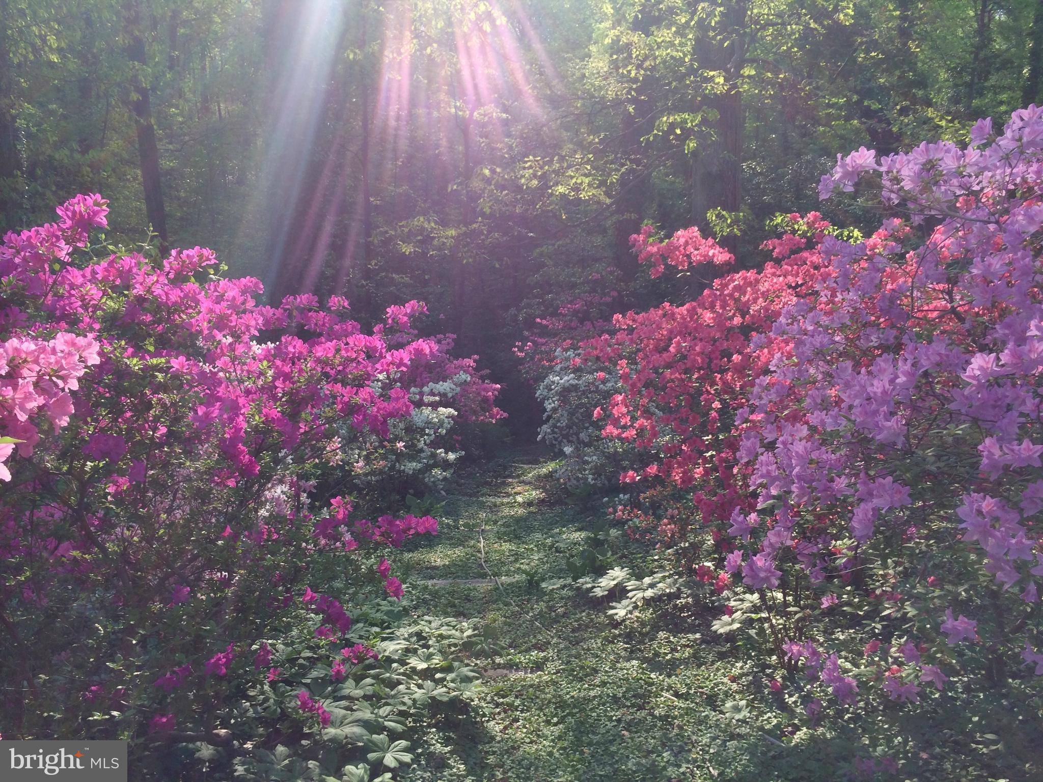 HILLANDALE - Residential