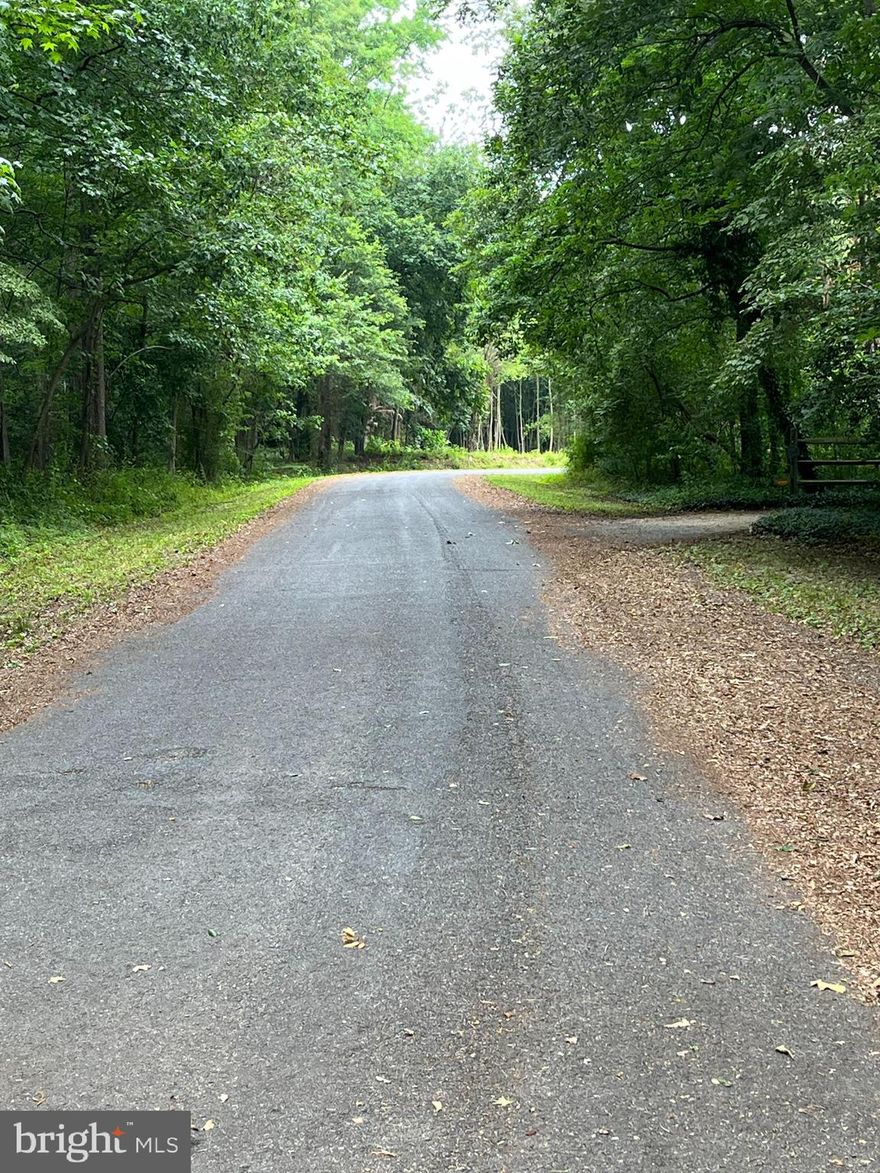 Discover the ideal blend of tranquil nature and prime location! 4.14 acres with mature trees, offering unparalleled privacy and peaceful country living in one of the area's most scenic subdivisions -- all just minutes away from Ridgely and Denton, and less than 1 mile from North Caroline High School. 
Build your dream home on this beautiful level building lot, providing an even terrain throughout the entire property. The spacious lot offers ample room for outdoor activities and provides the privacy you desire. High-speed fiber internet is available, the lot is perk approved, power lines are already in place, and the county maintains the paved road. Plus, there’s no HOA! This is one of of the few lots currently available in this quiet cul-de-sac community. 
If you're searching for a building lot, please make sure to check out the Oasis subdivision!