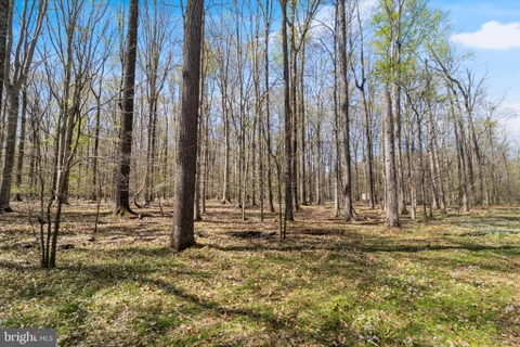 MLS: MDCH2053280