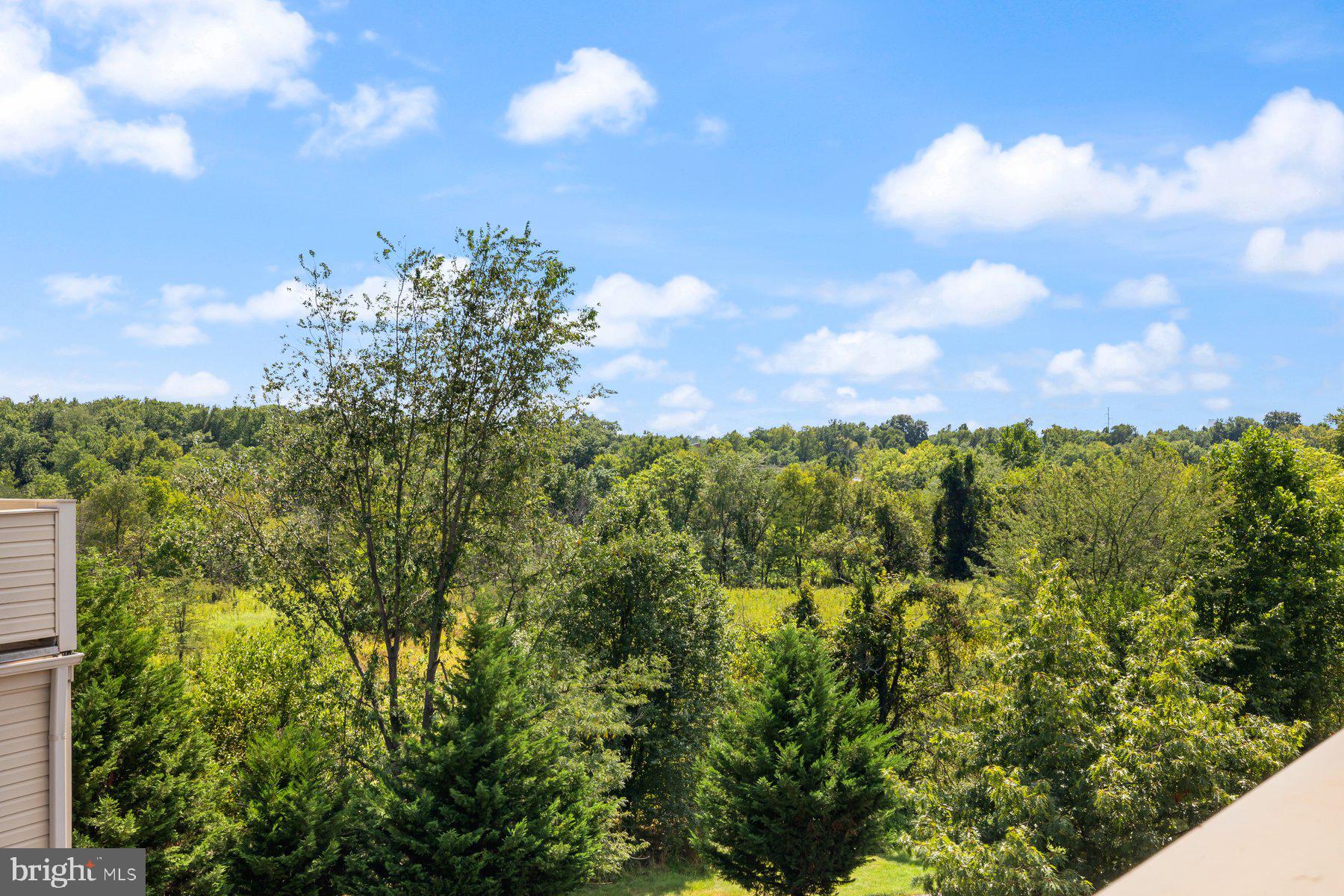 MONOCACY PARK - Residential