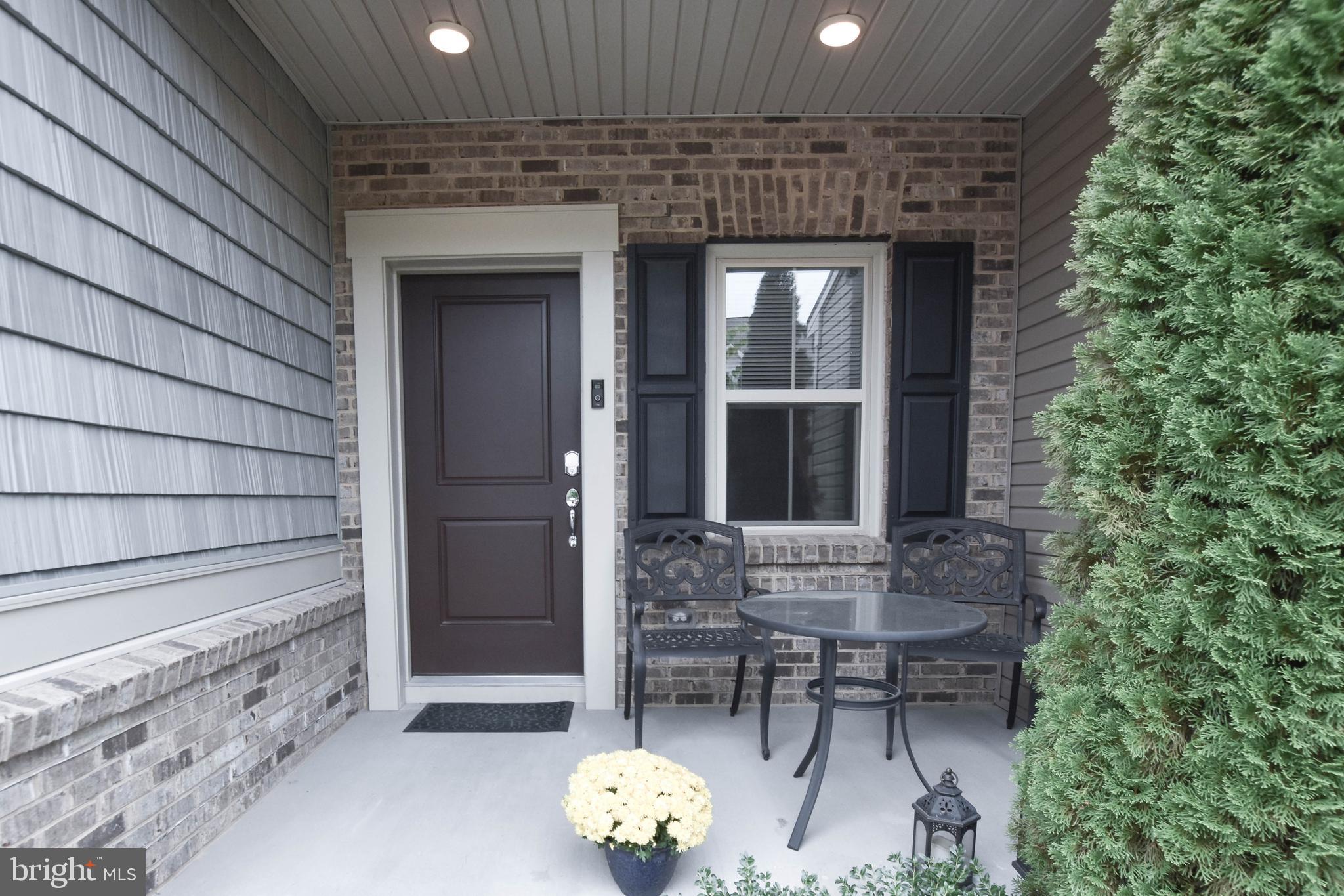19873 SILVERY BLUE TERRACE