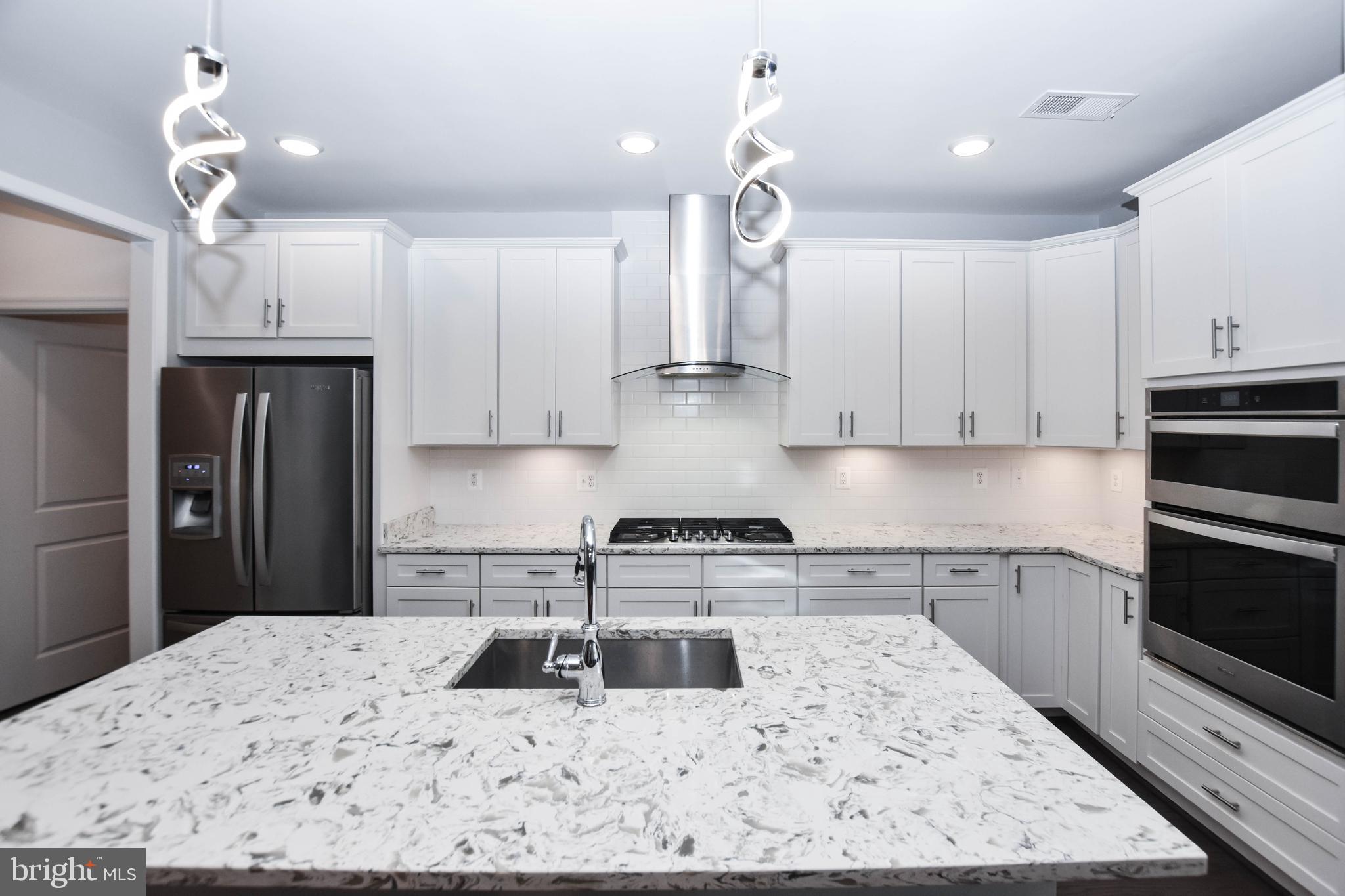 19873 SILVERY BLUE TERRACE