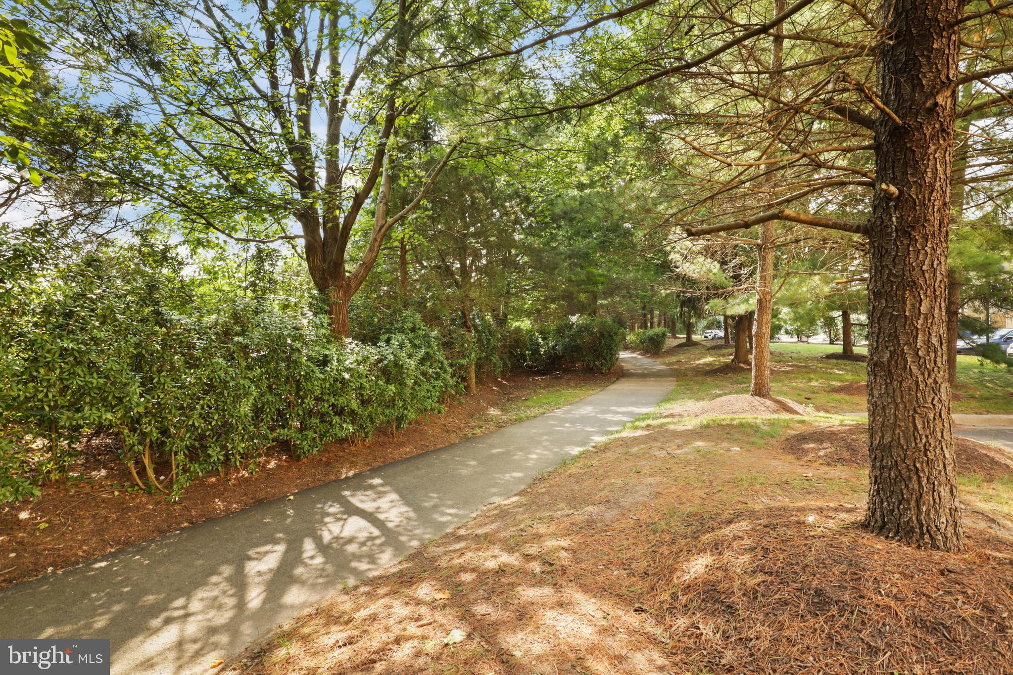 LINCOLN PARK - Residential