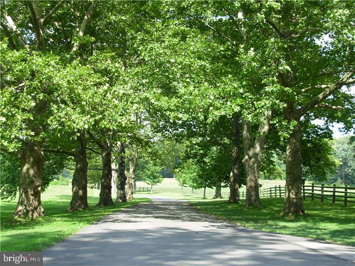 Ardrossan Farms -One of three contiguous Lots Available! Picture your new home set amidst this gorgeous country green with large swathes of mature trees sheltering the land and its glorious viewsheds. Set in the heart of the Main Line in Radnor Township, Ardrossan is a rapturous setting for peaceful walks and pastoral relaxation - yet conveniently close to everything you love about the Main Line. The eastern viewshed of Ardrossan Farms' 350 acres is approximately 112 acres. Sixteen homesites have been carefully positioned and planned. You are cordially invited to come and see these impressive homesites. Choose your own builder and architect. See also 105 and 111 Wheeler Lane listings.