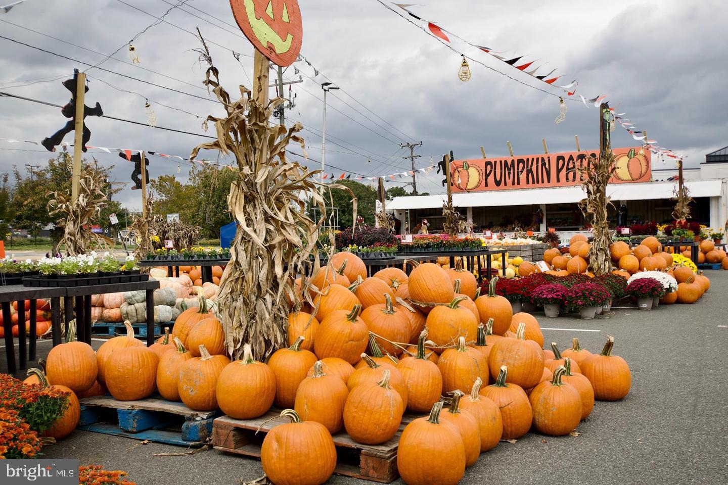 WESTHAVEN - Residential