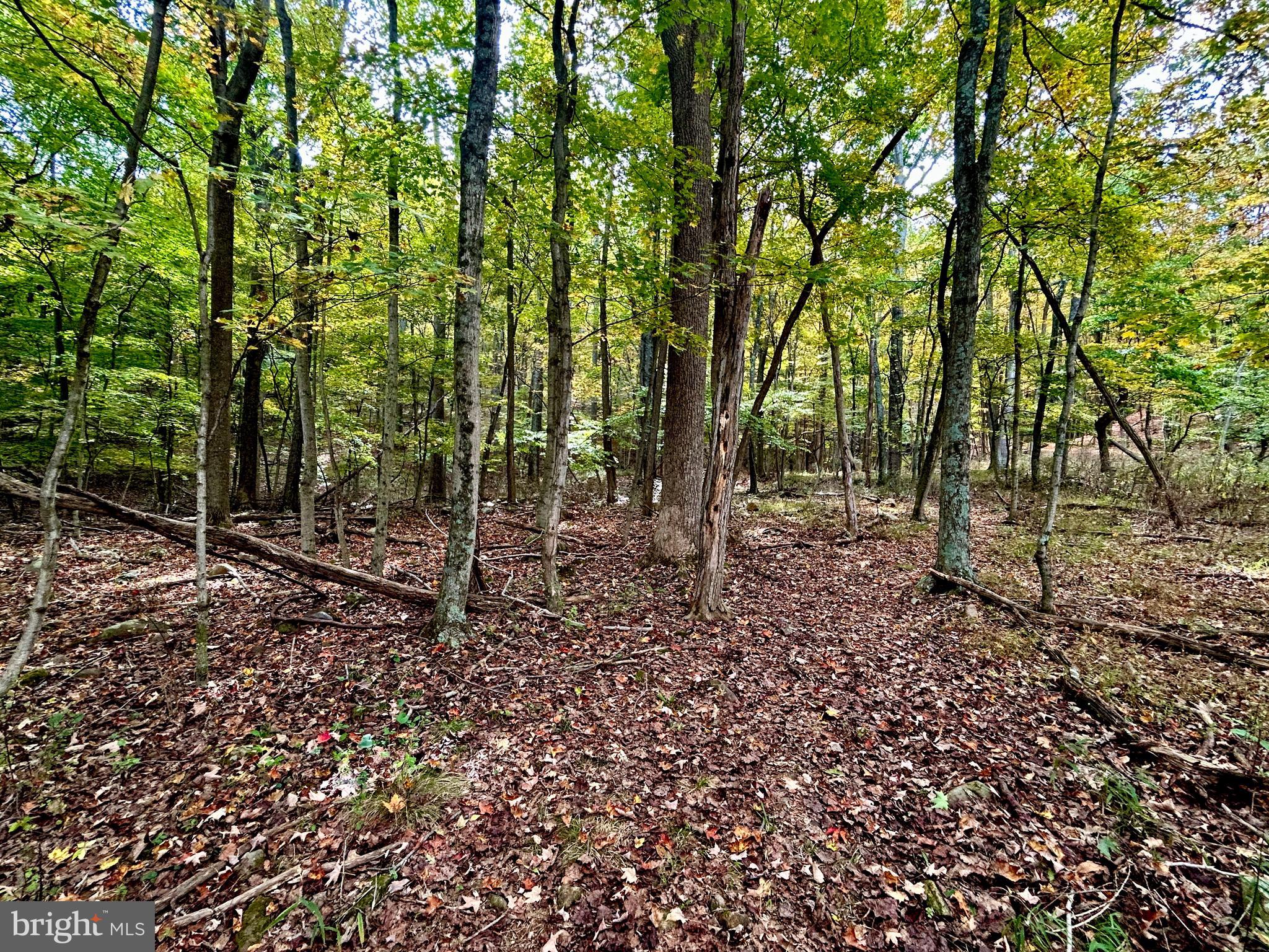 THUNDERBIRD HILLS - Land