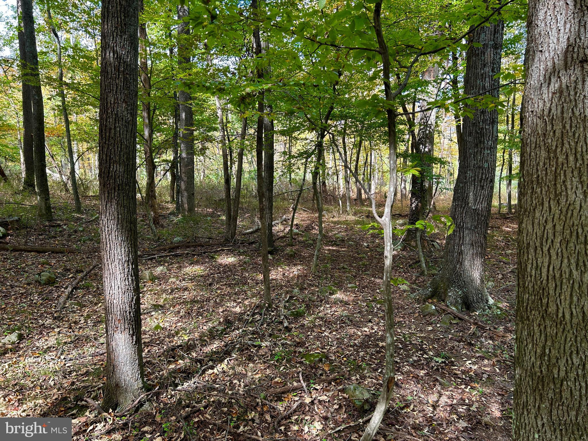 THUNDERBIRD HILLS - Land