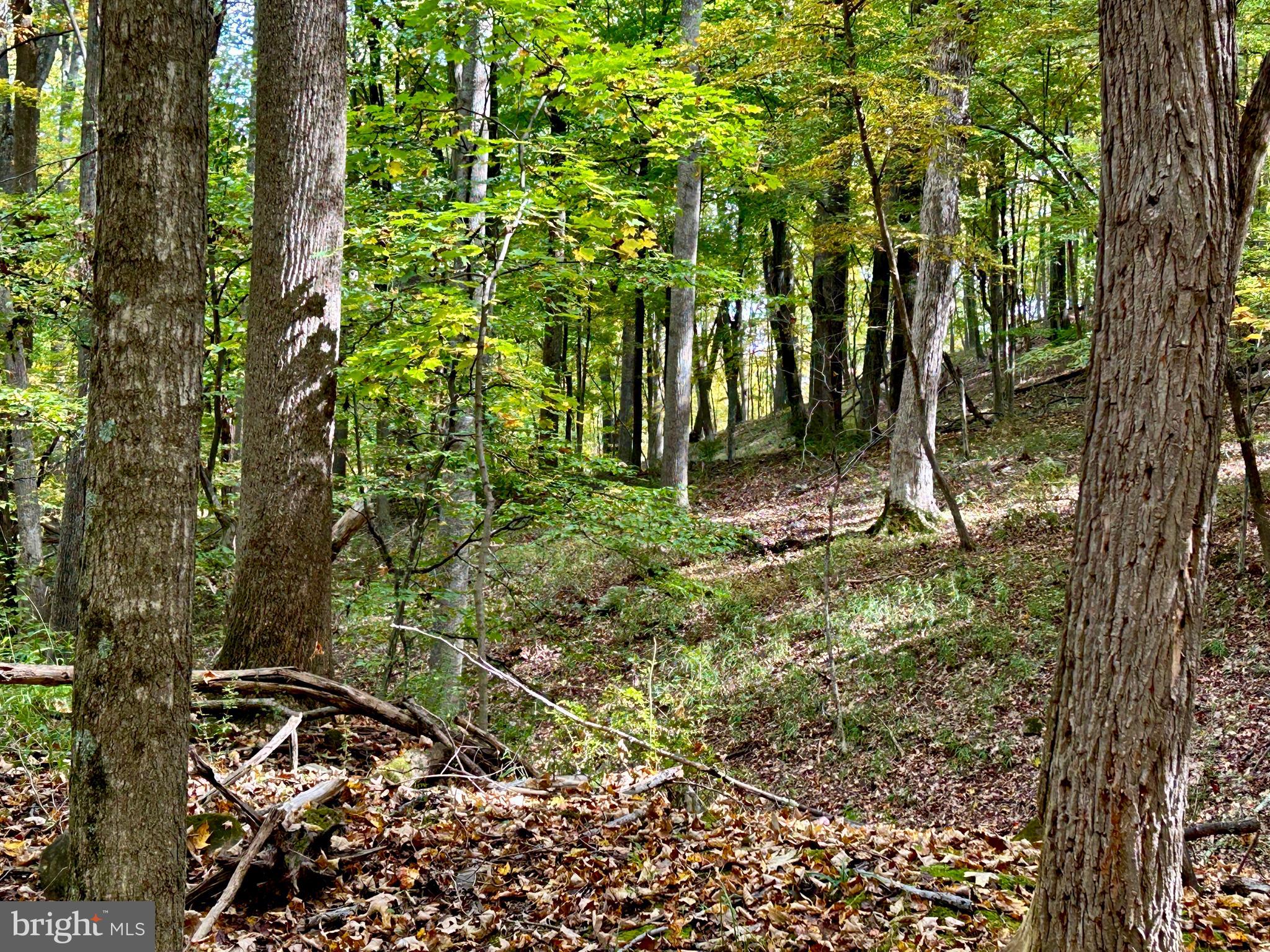 THUNDERBIRD HILLS - Land