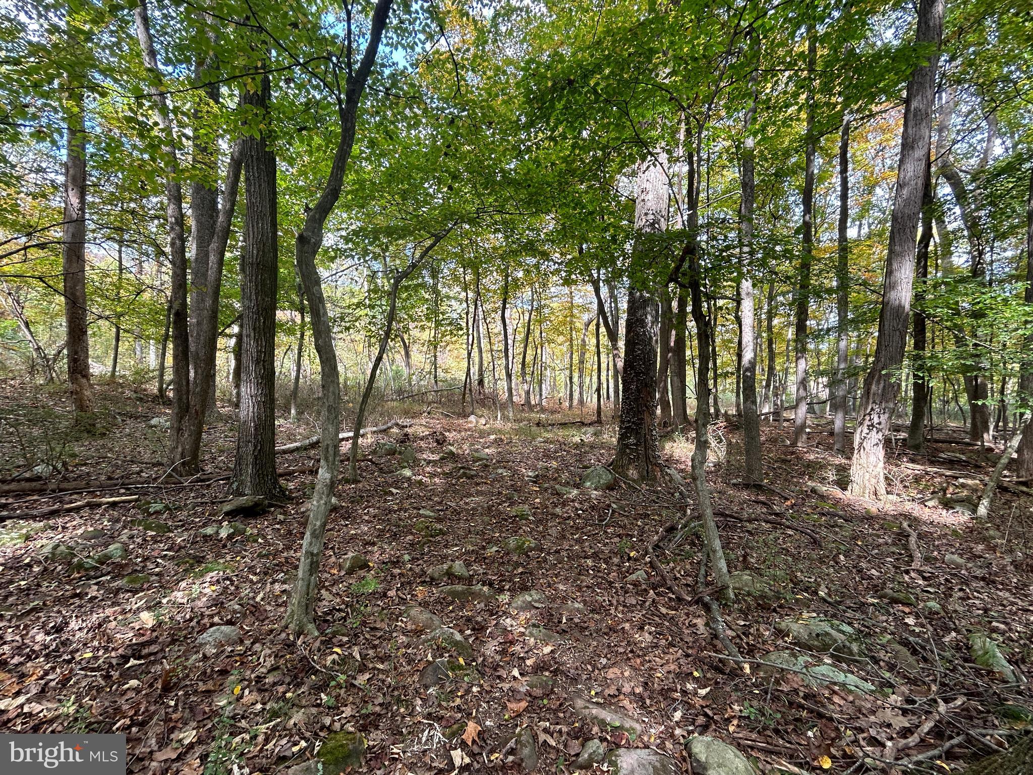 THUNDERBIRD HILLS - Land