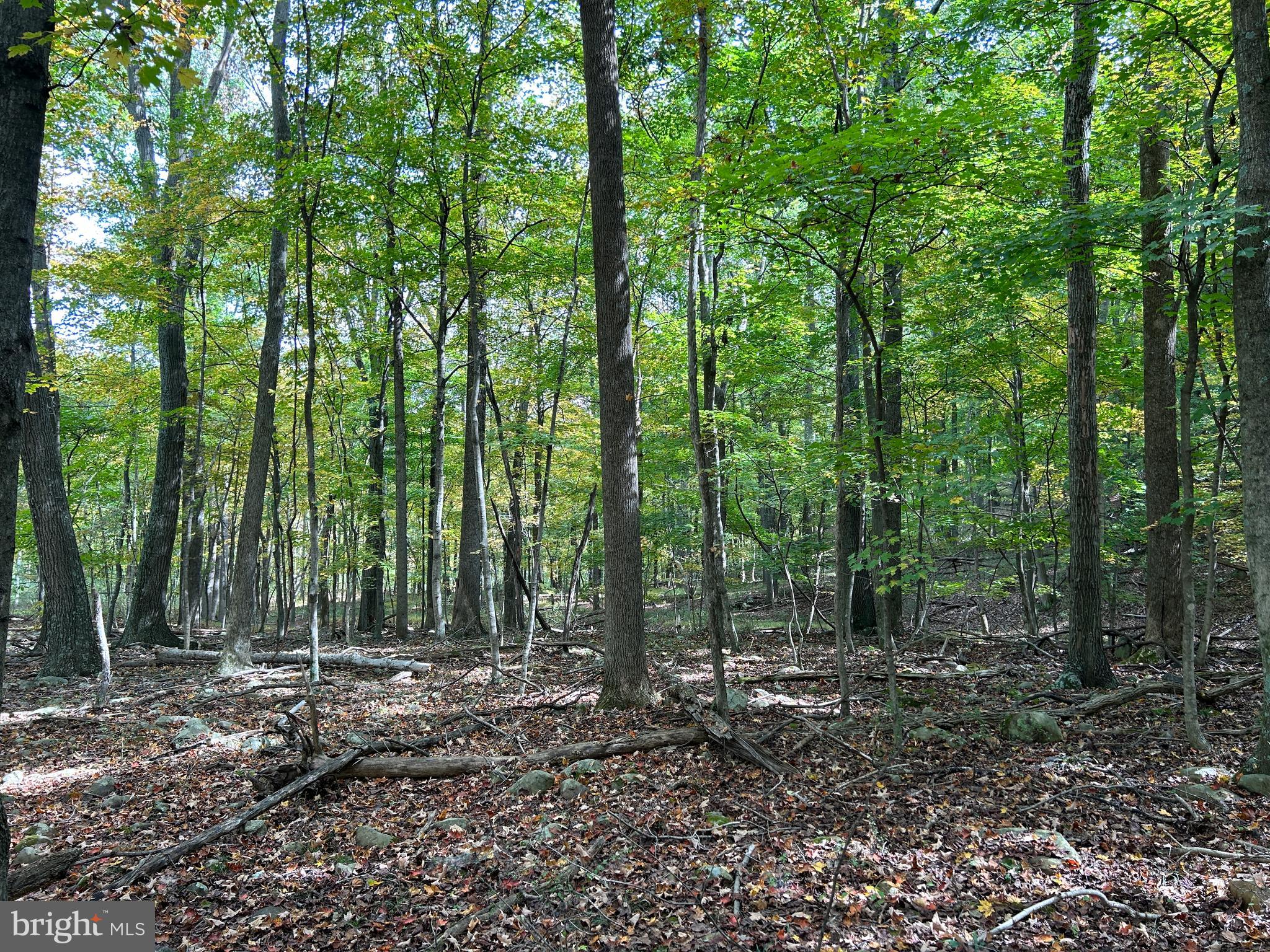 THUNDERBIRD HILLS - Land