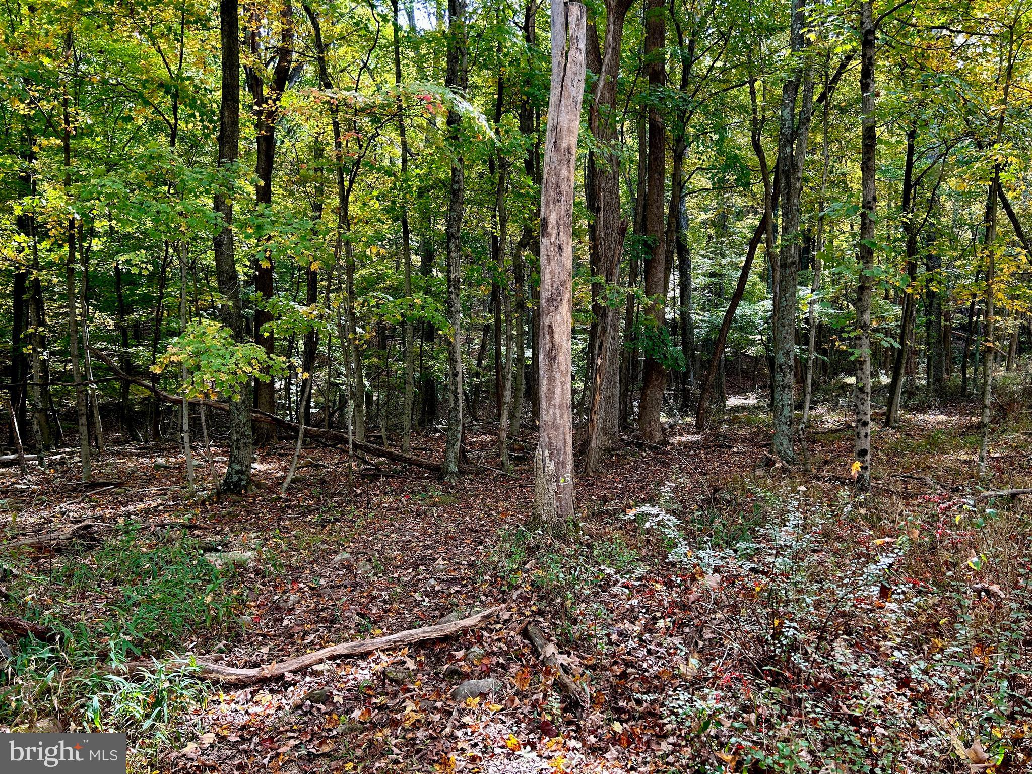 THUNDERBIRD HILLS - Land