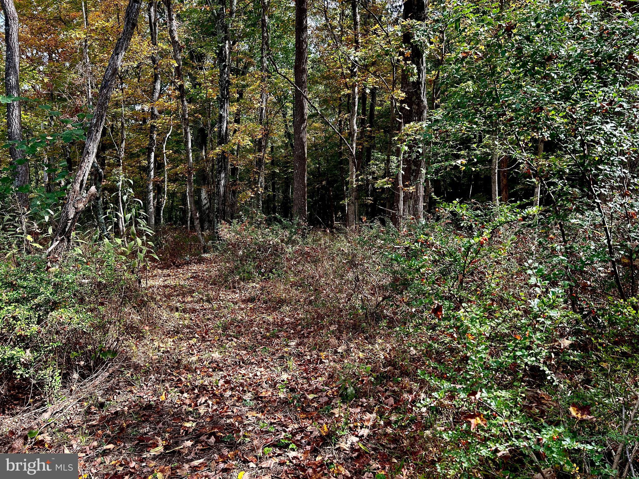 THUNDERBIRD HILLS - Land