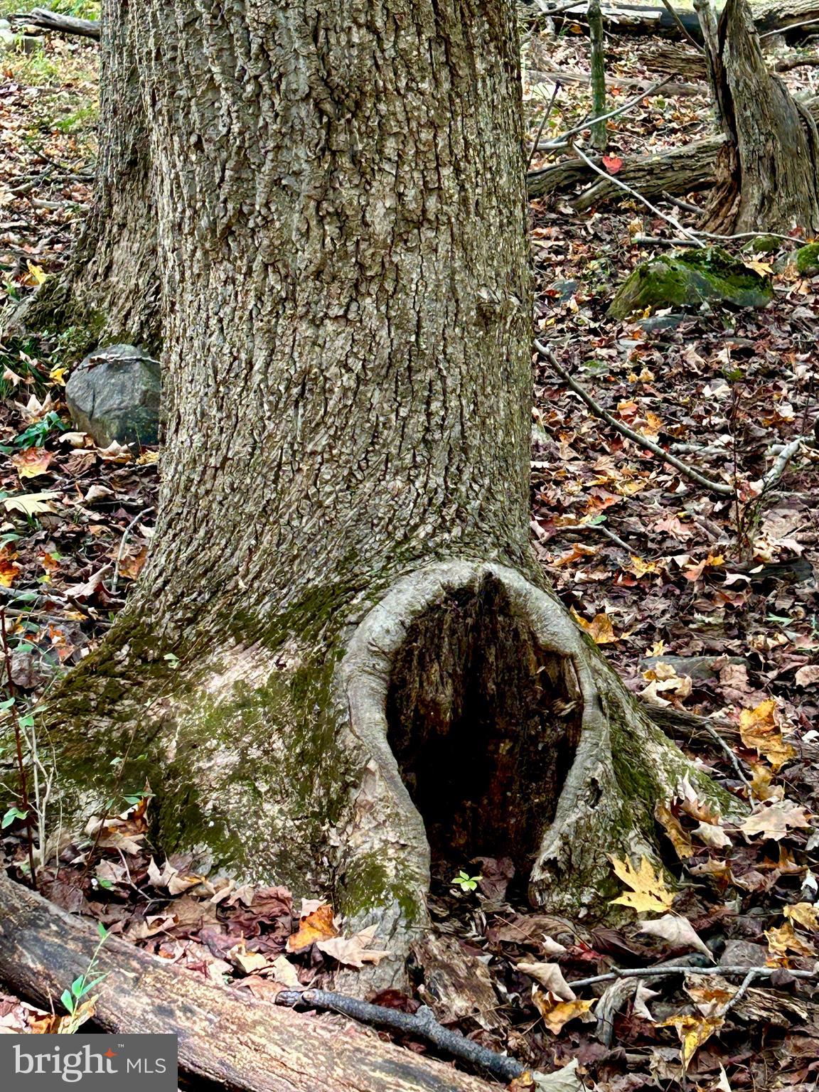 THUNDERBIRD HILLS - Land