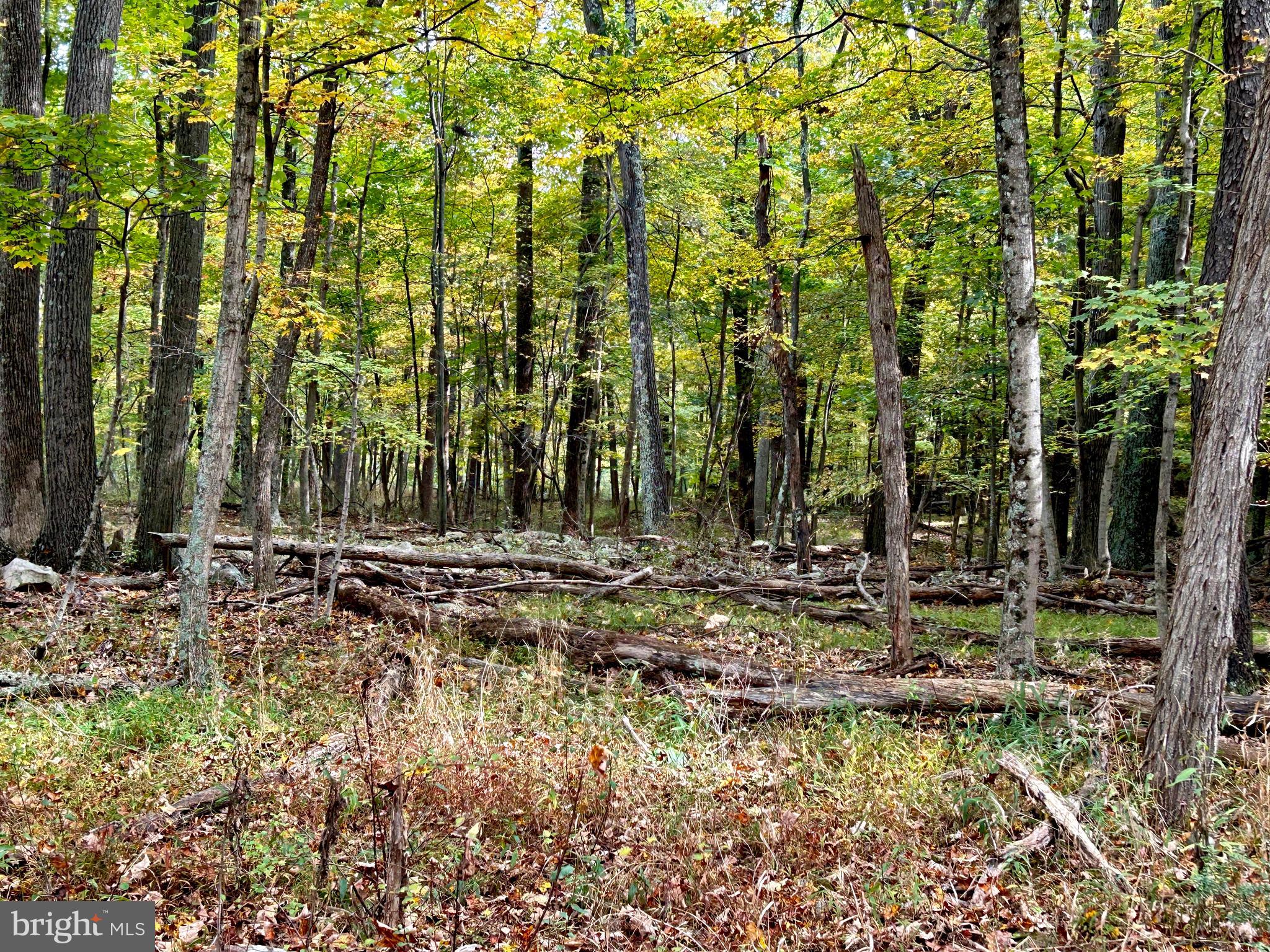 THUNDERBIRD HILLS - Land