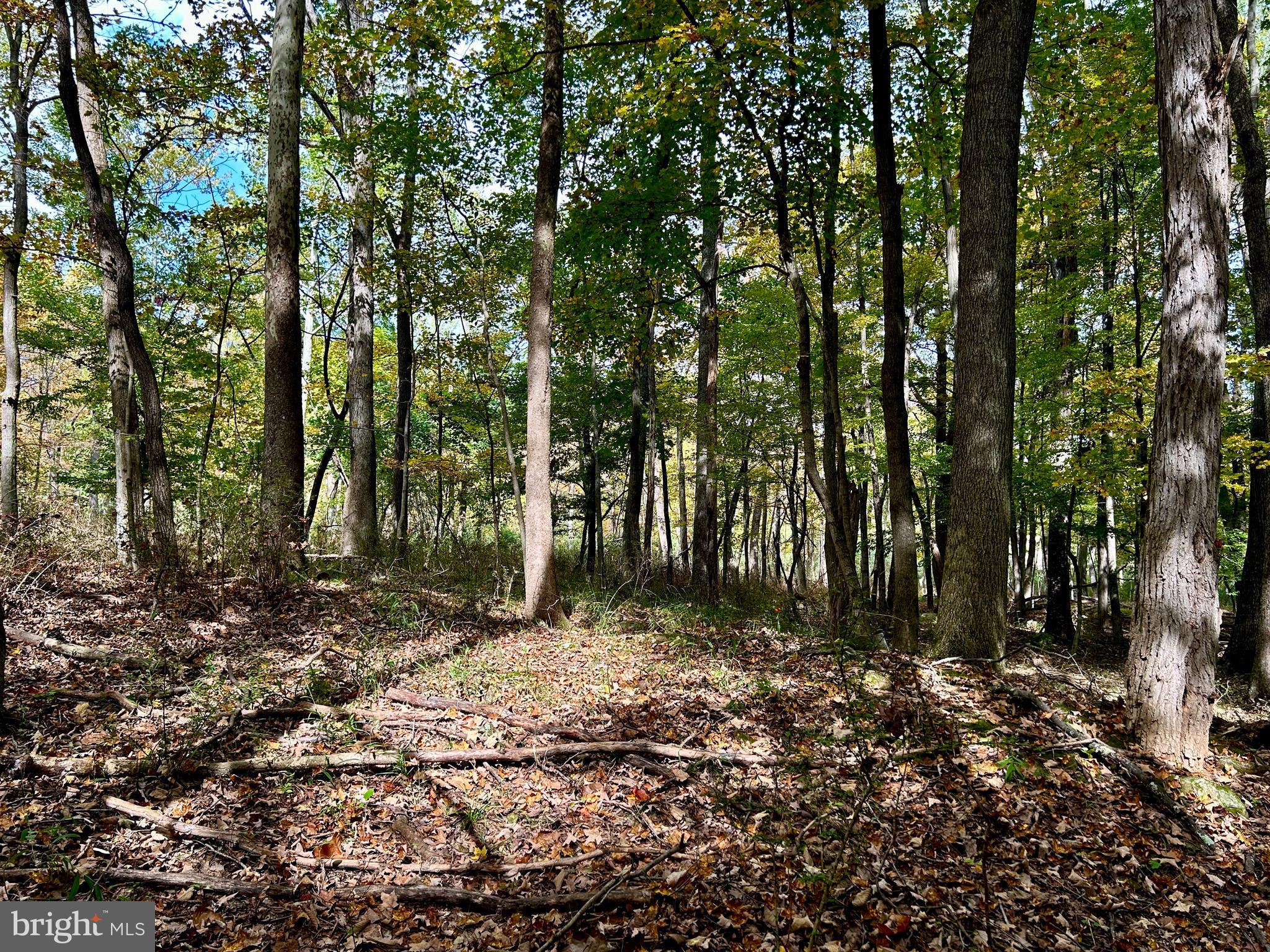 THUNDERBIRD HILLS - Land