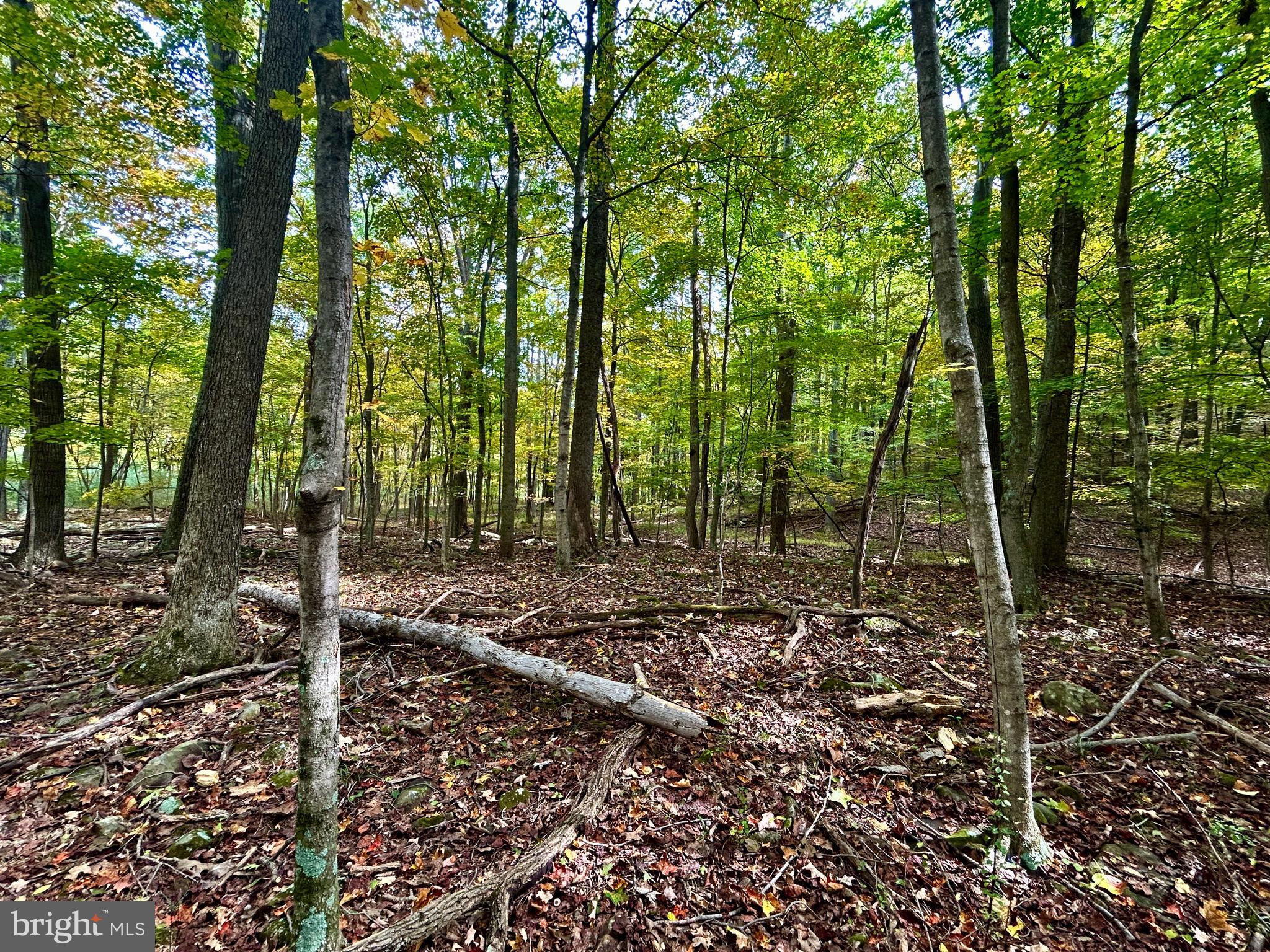 THUNDERBIRD HILLS - Land