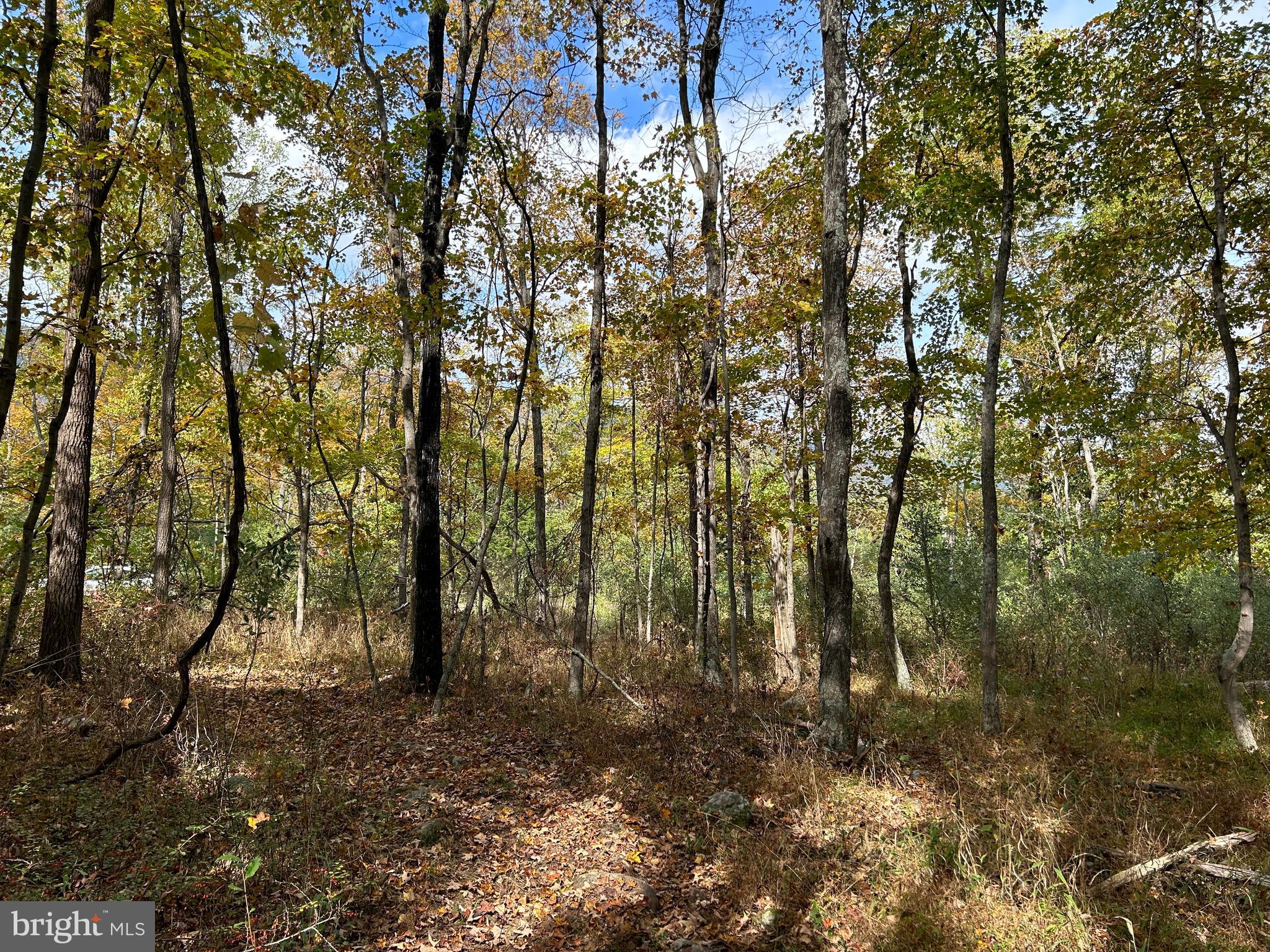 THUNDERBIRD HILLS - Land