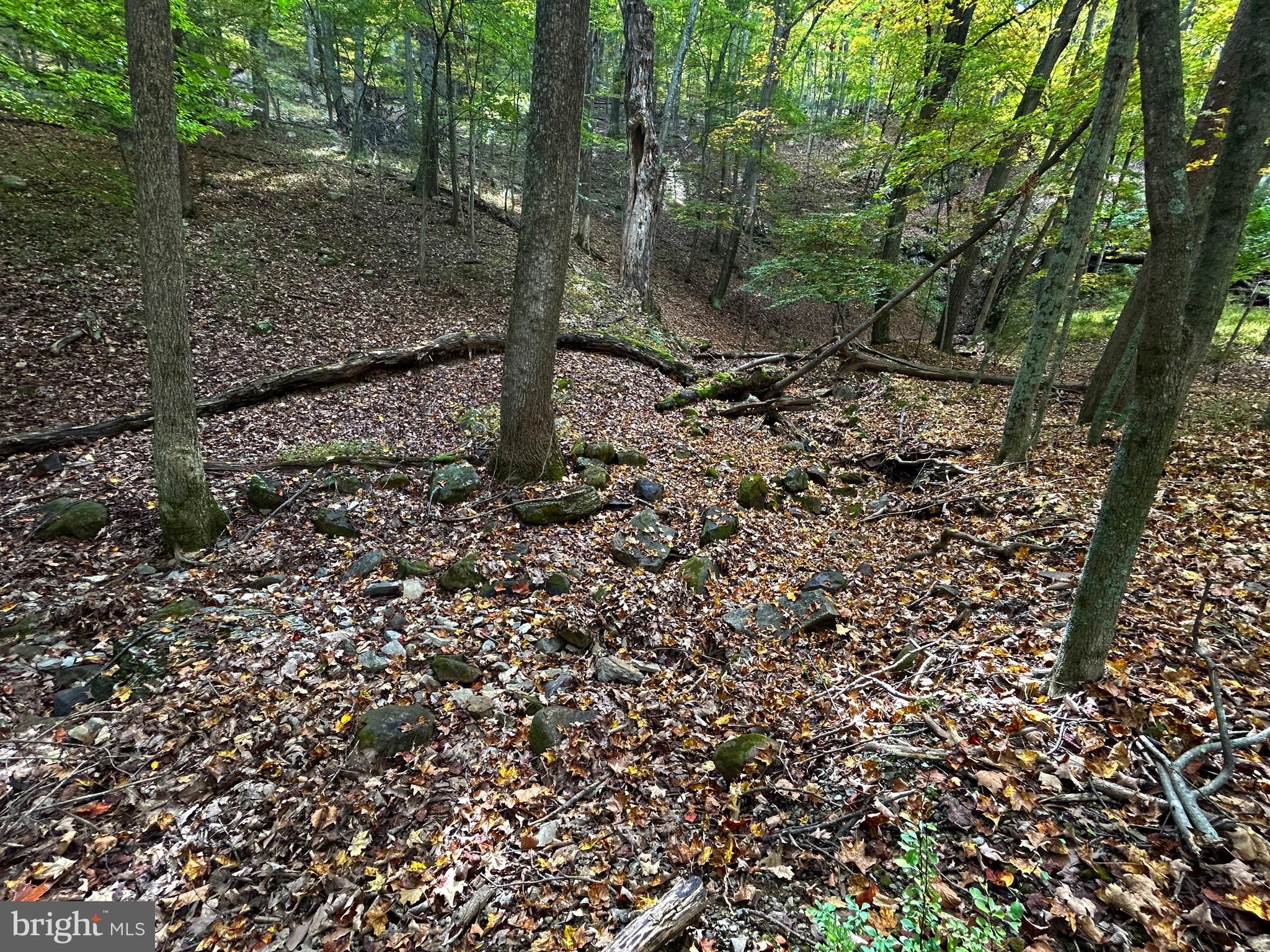 THUNDERBIRD HILLS - Land