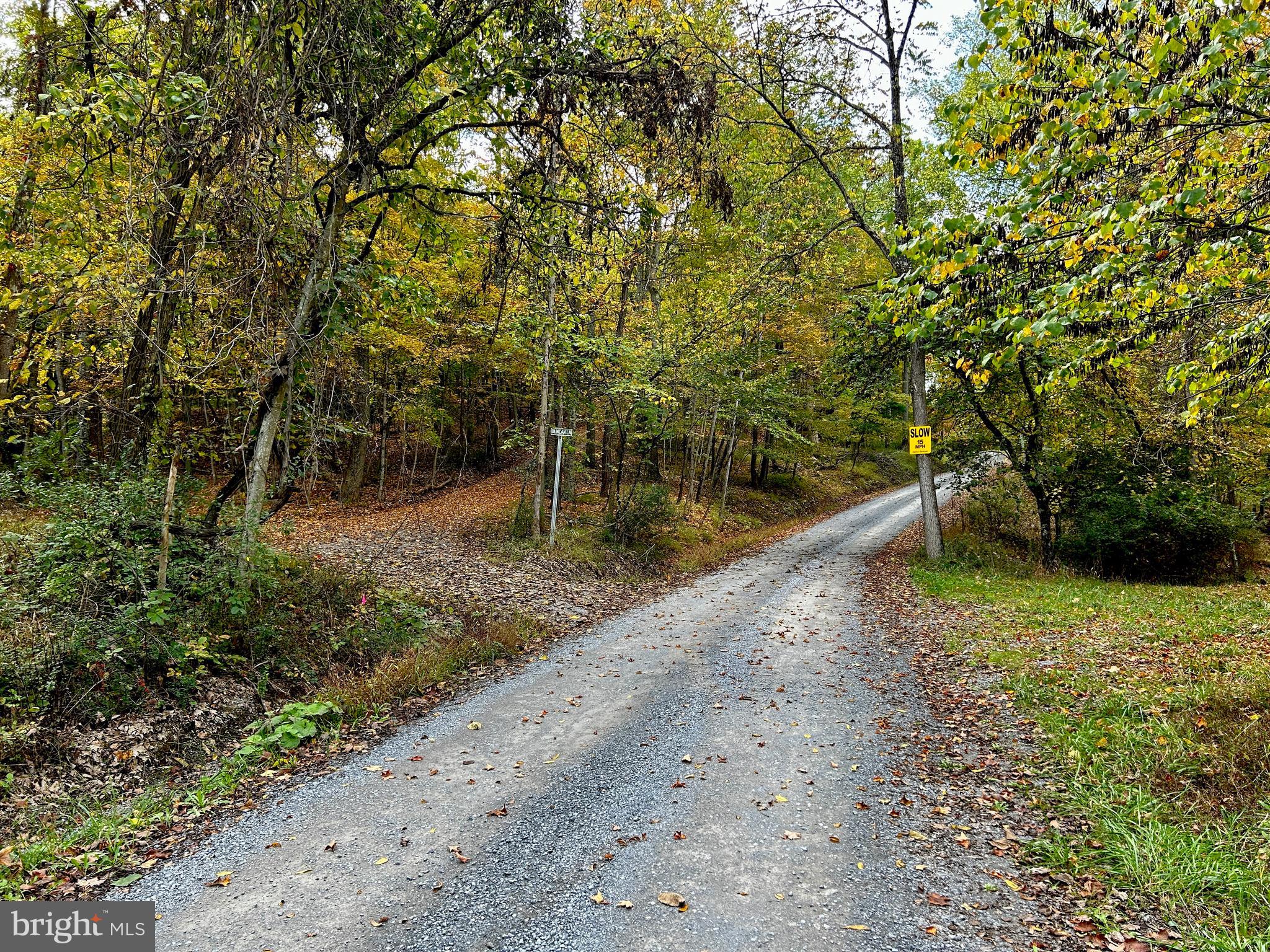 THUNDERBIRD HILLS - Land