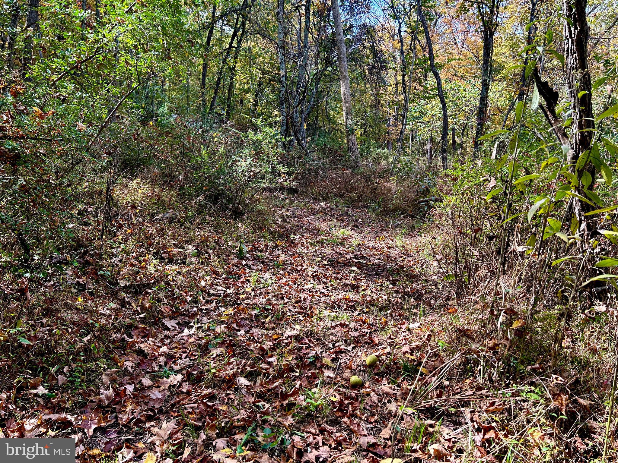 THUNDERBIRD HILLS - Land