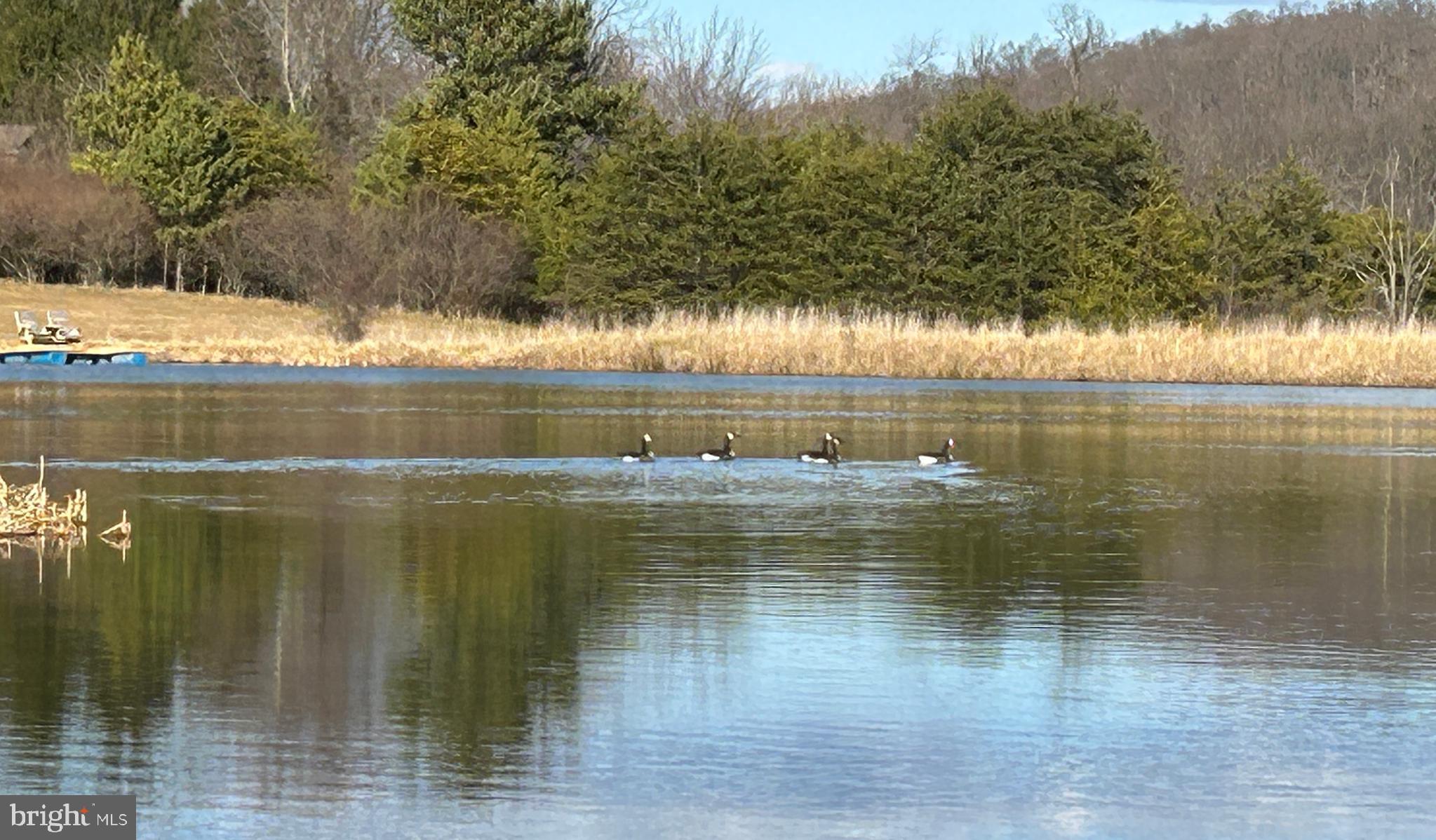 THUNDERBIRD HILLS - Land