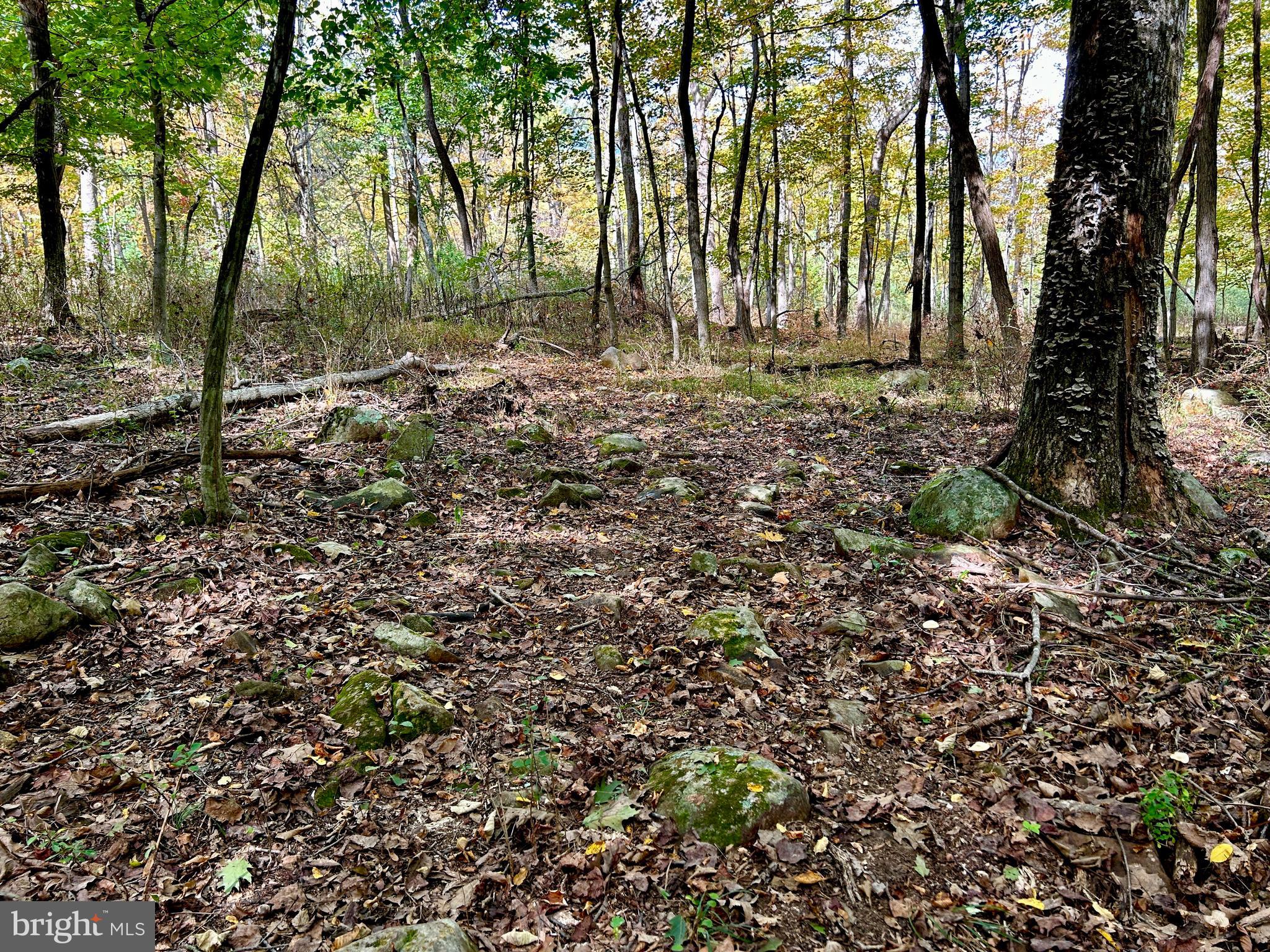 THUNDERBIRD HILLS - Land