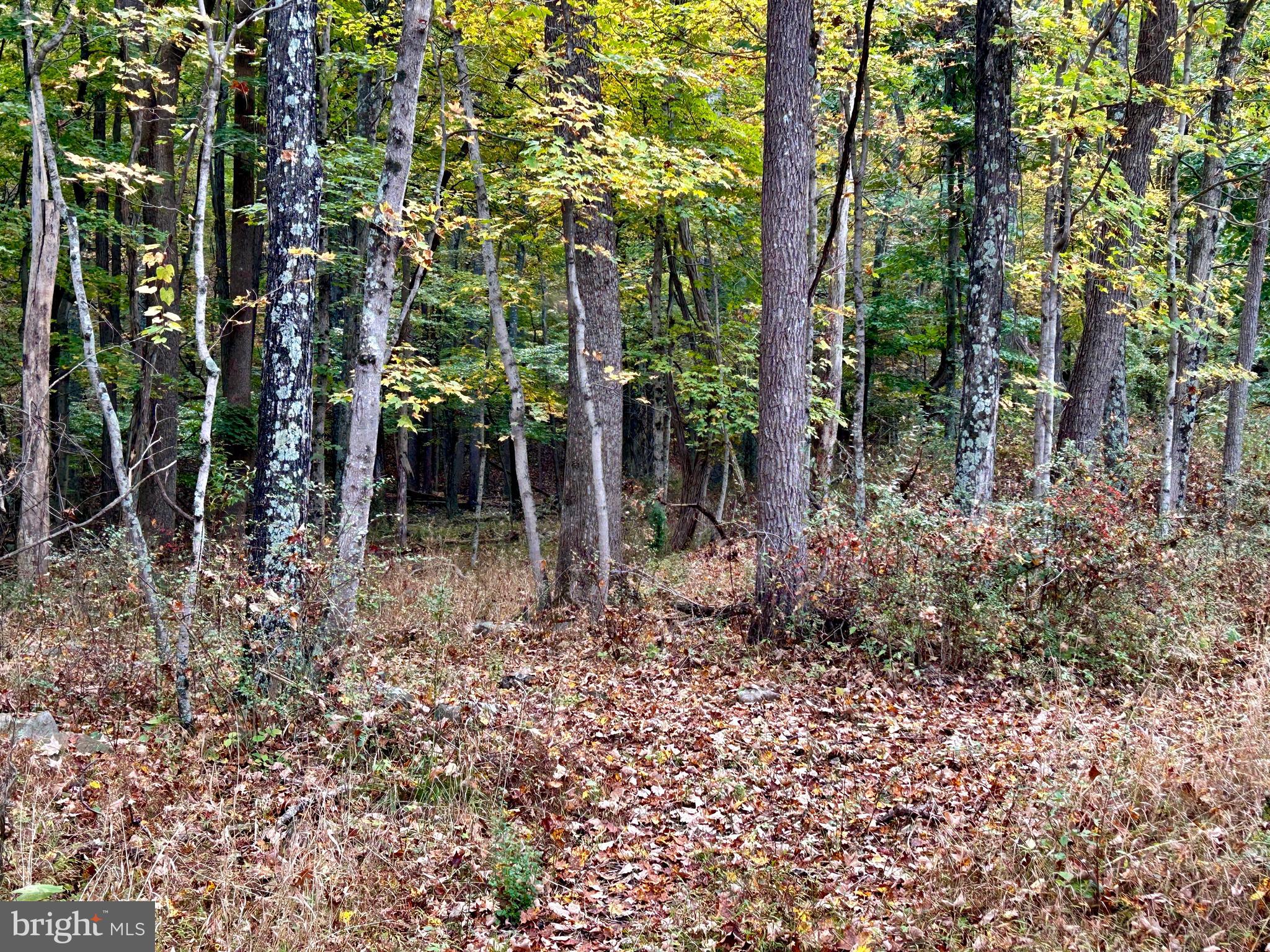 THUNDERBIRD HILLS - Land