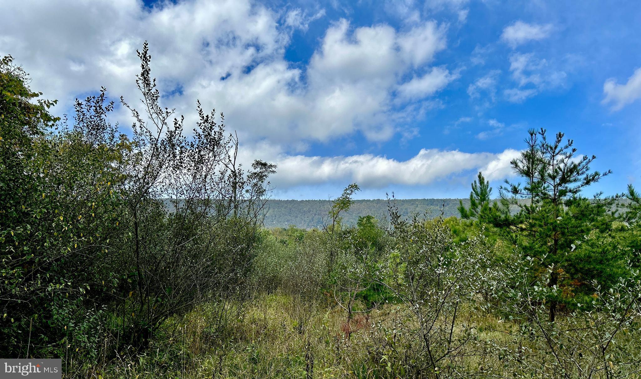 THUNDERBIRD HILLS - Land