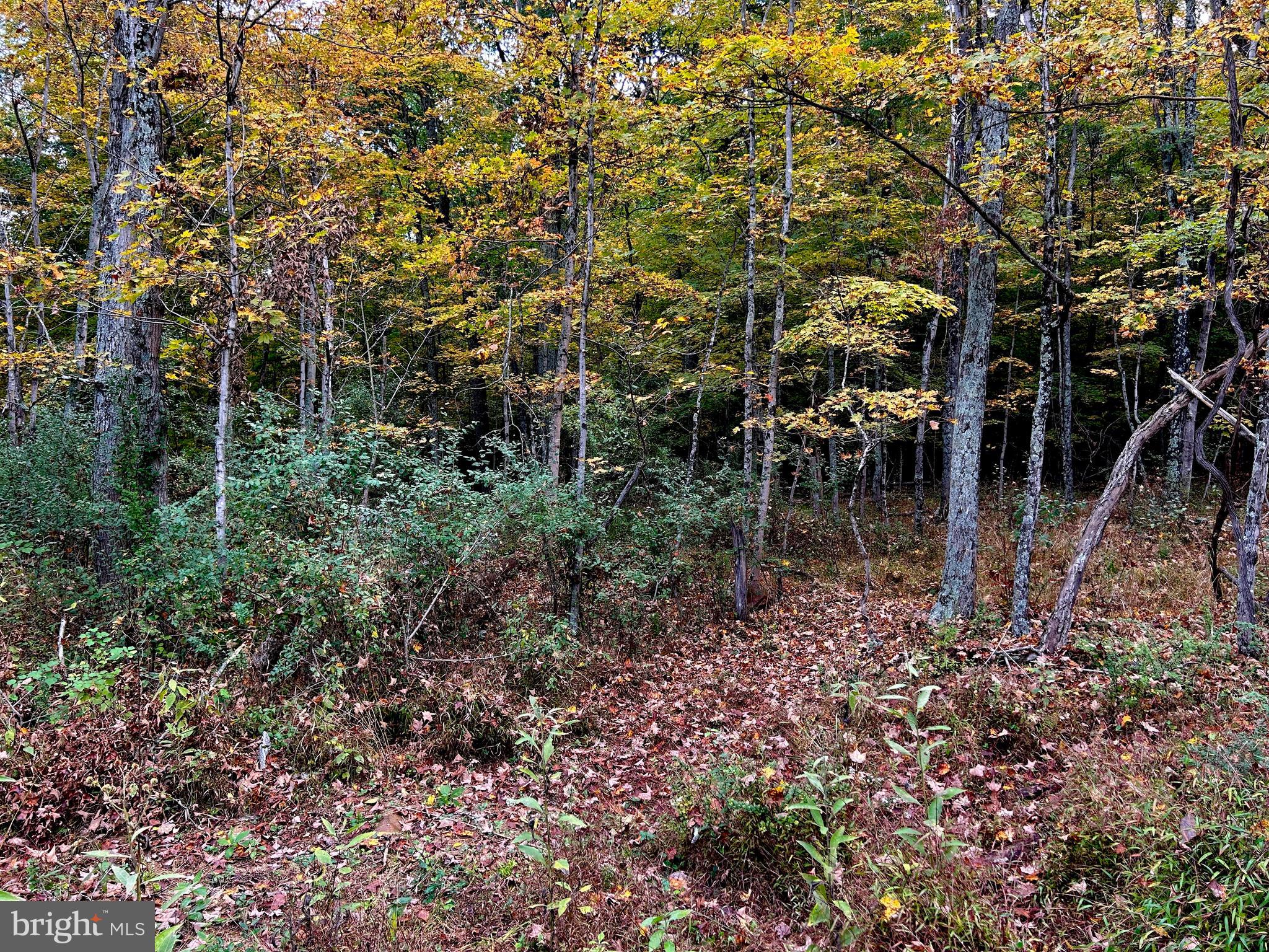 THUNDERBIRD HILLS - Land