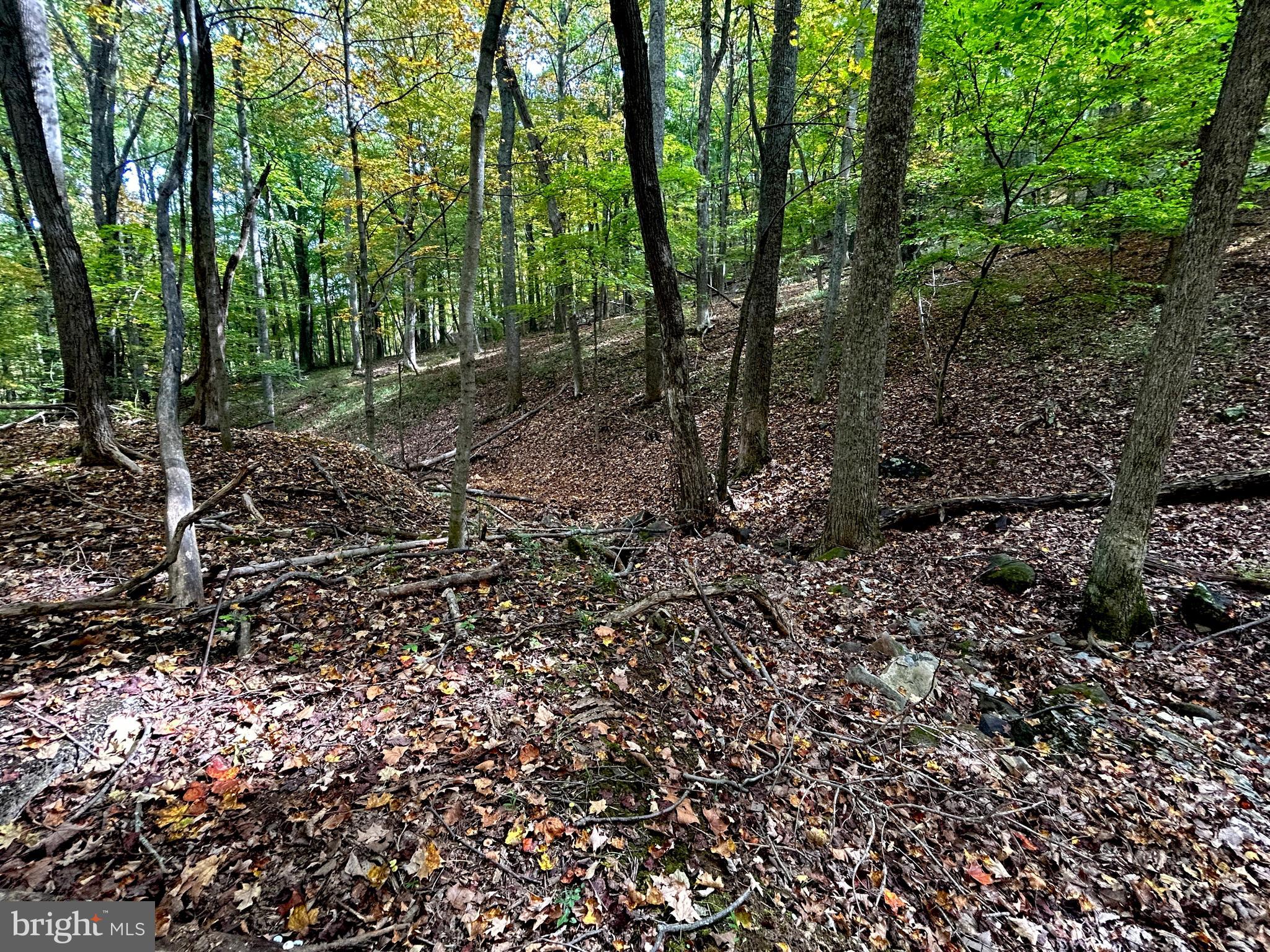 THUNDERBIRD HILLS - Land