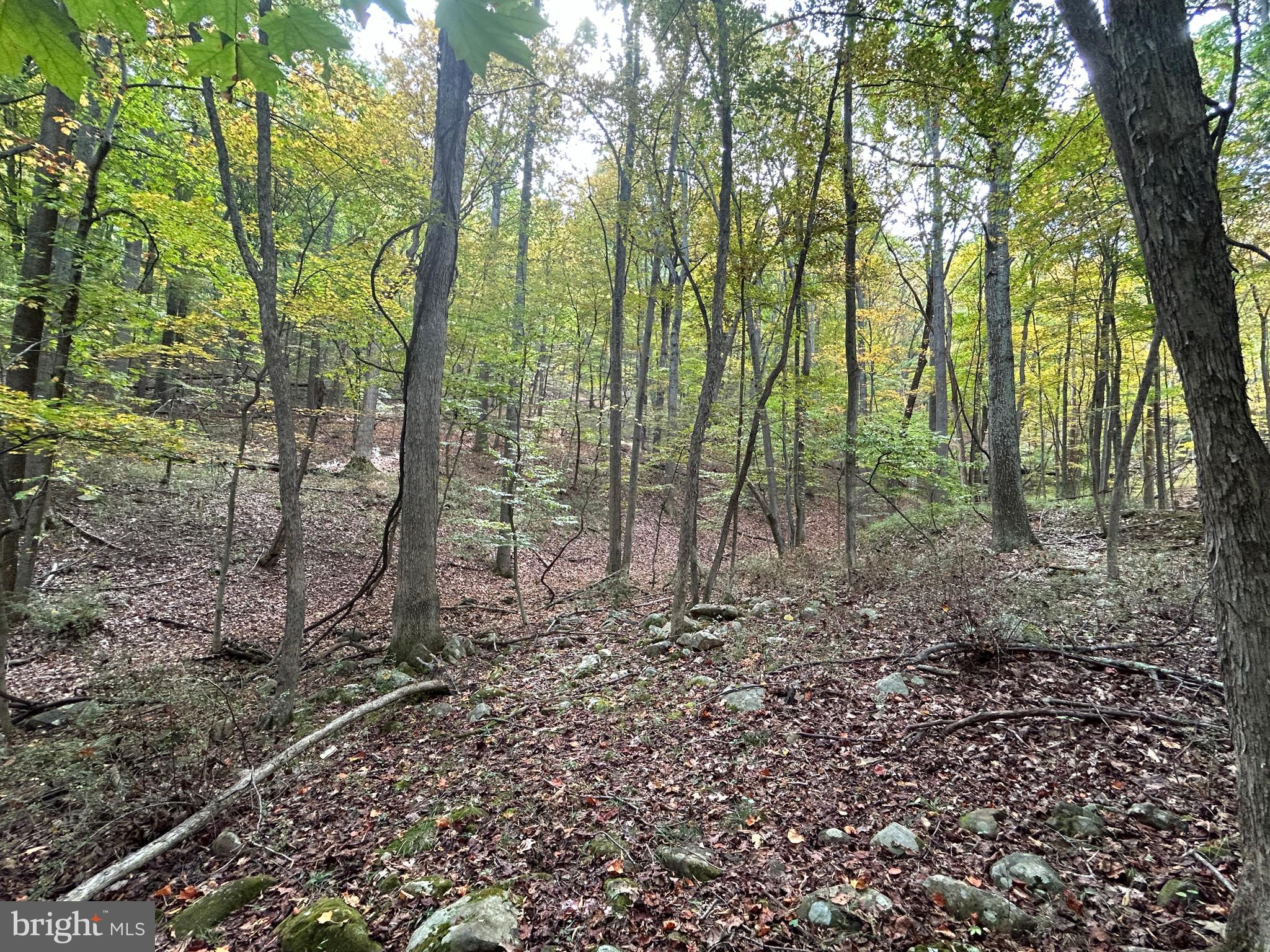 THUNDERBIRD HILLS - Land