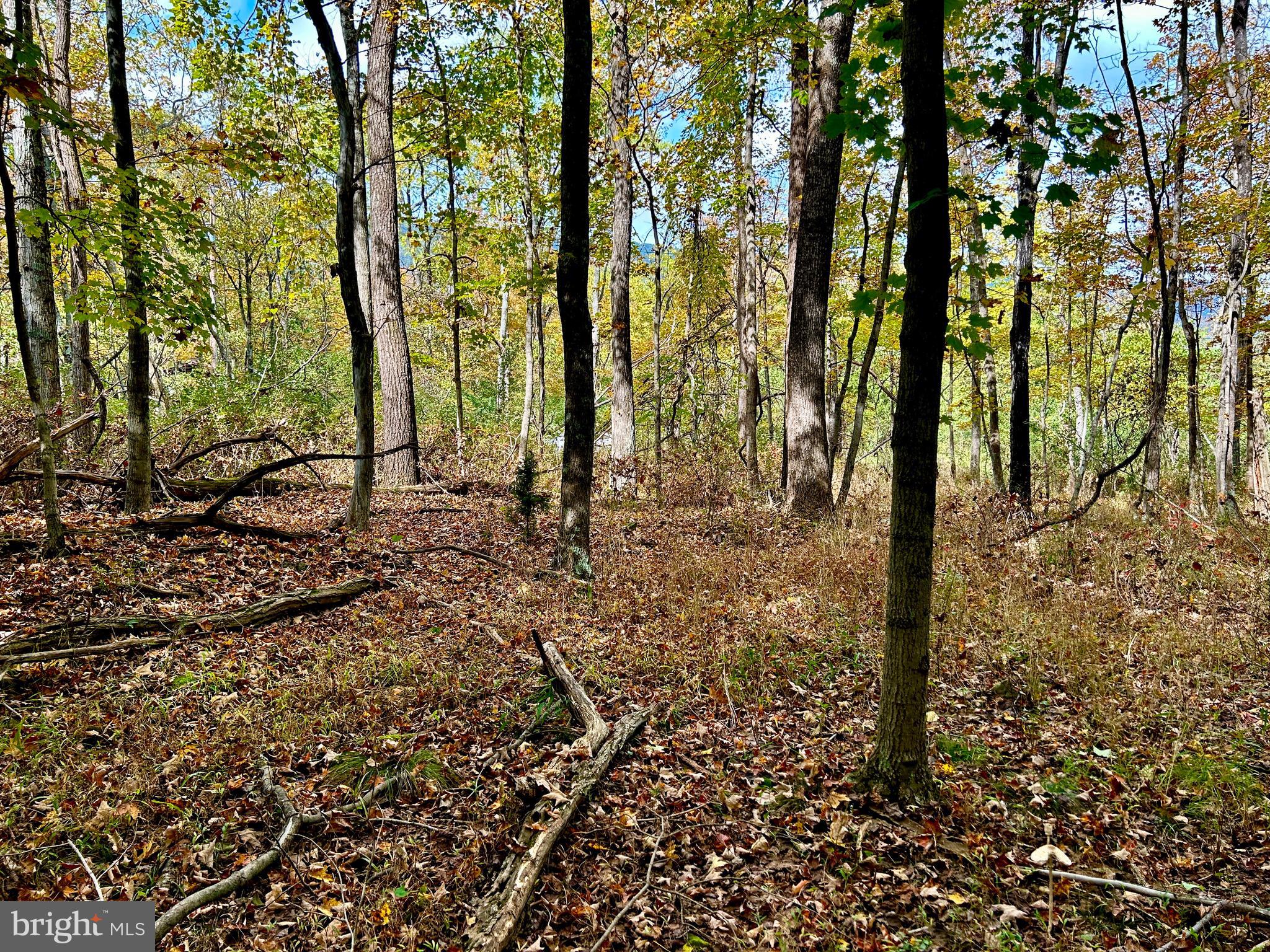 THUNDERBIRD HILLS - Land