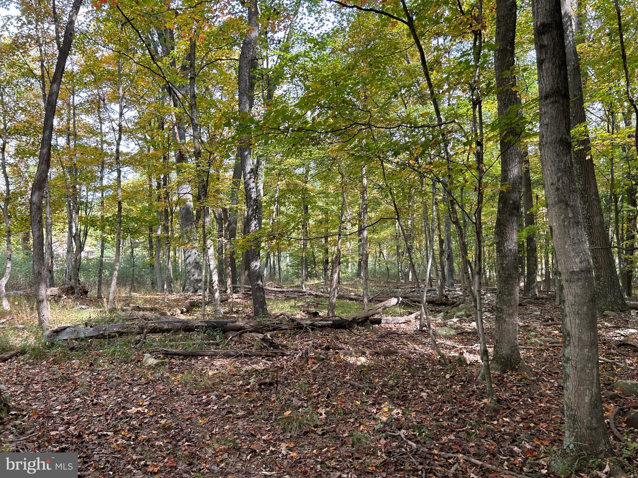 THUNDERBIRD HILLS - Land