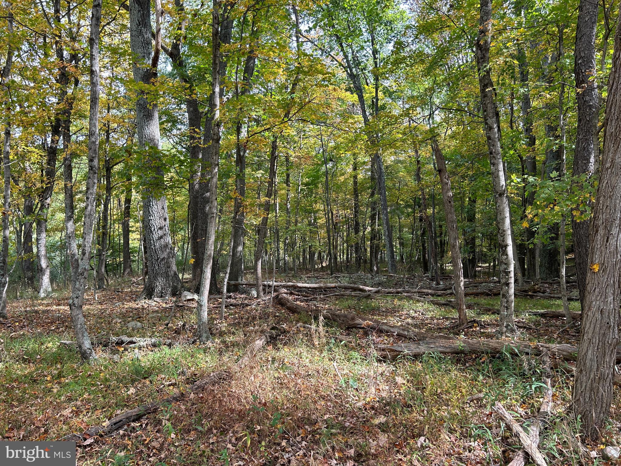 THUNDERBIRD HILLS - Land