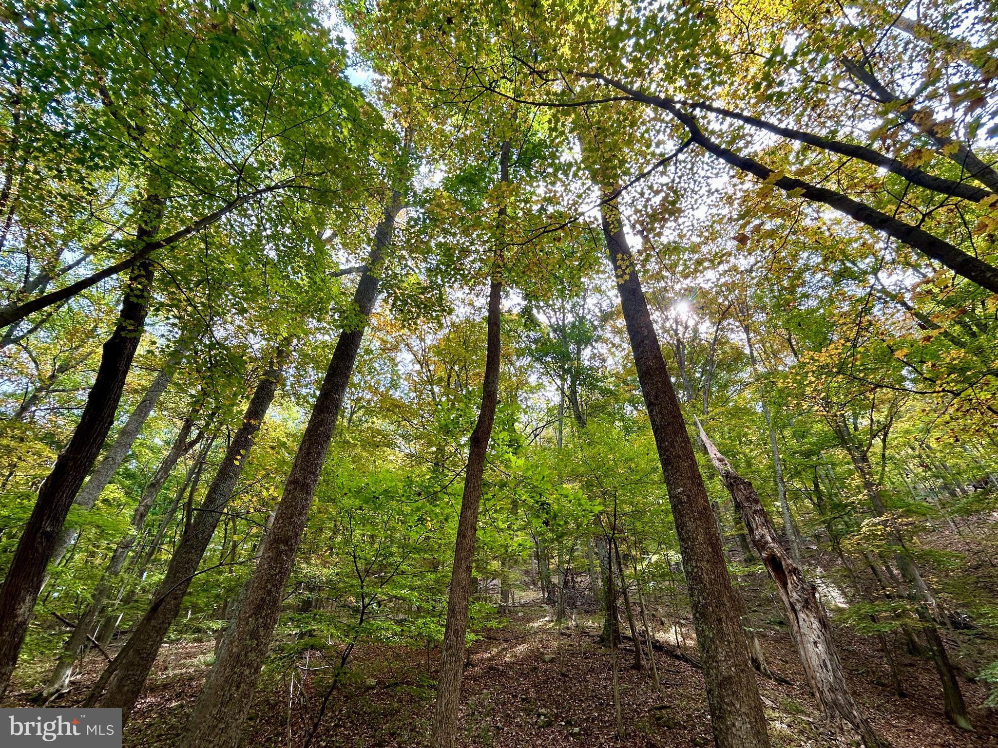THUNDERBIRD HILLS - Land